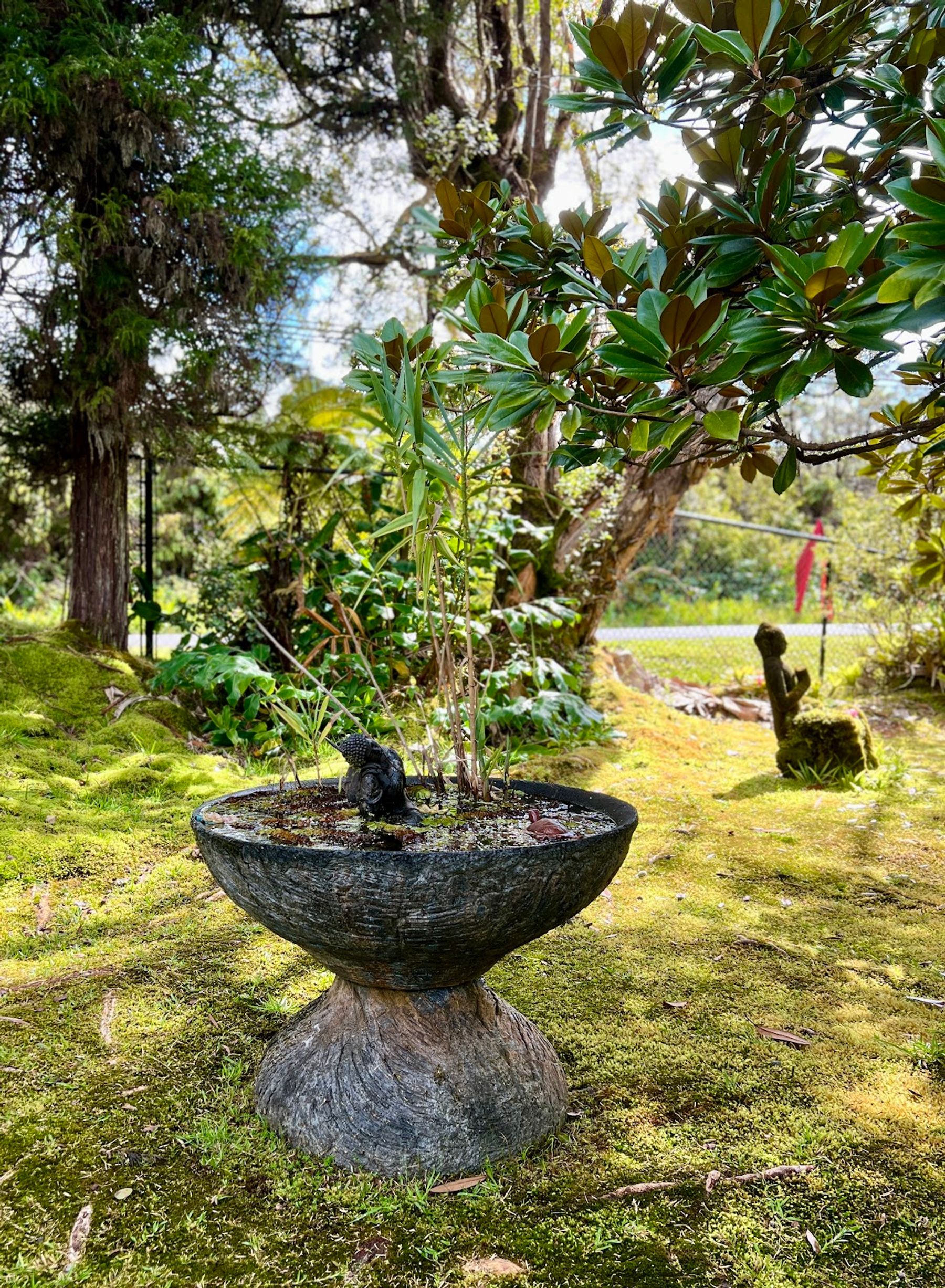 Photo 10 of Café Ono & Catering in Volcano, Big Island