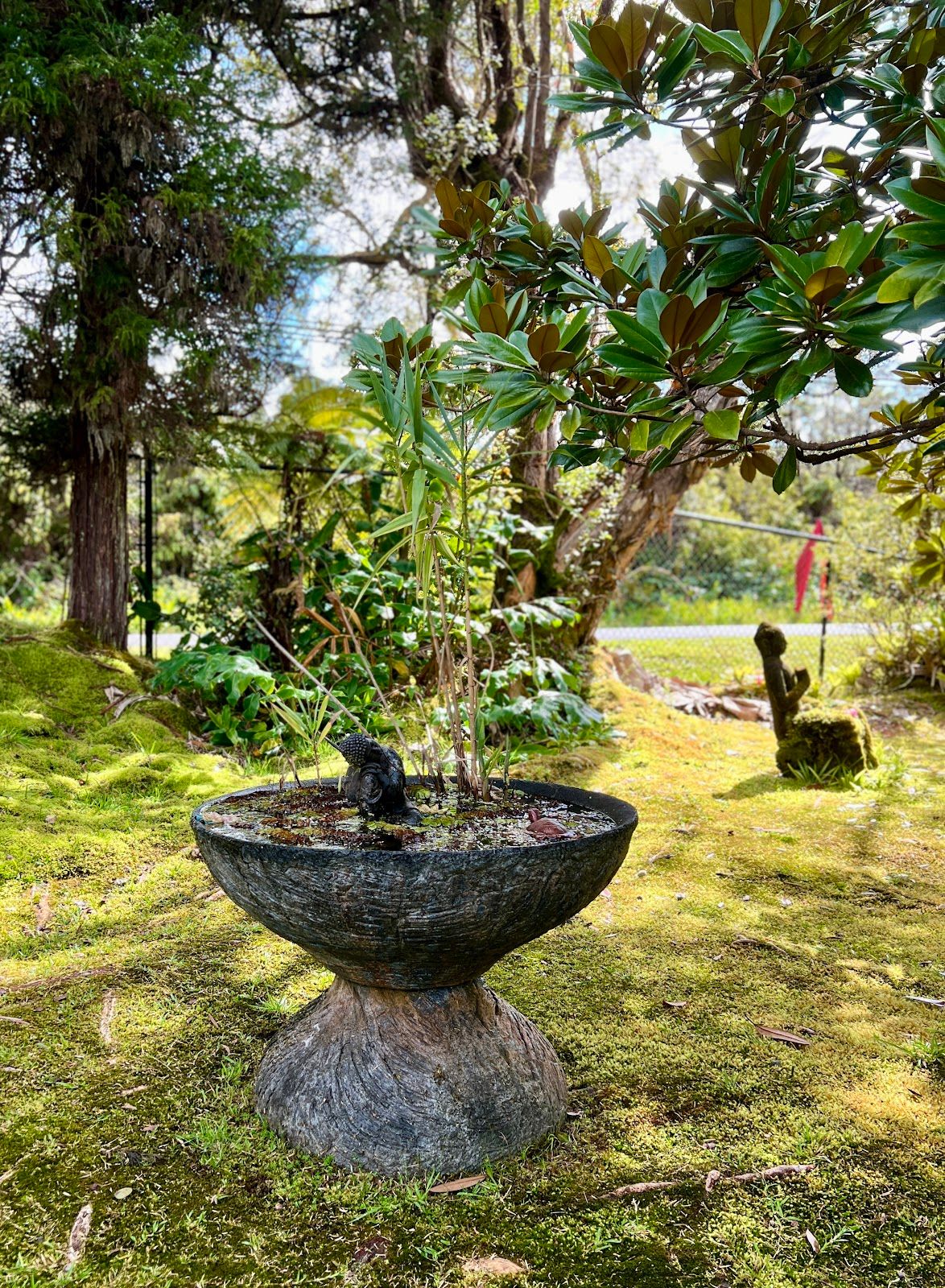 Photo 10 of Café Ono & Catering in Volcano, Big Island