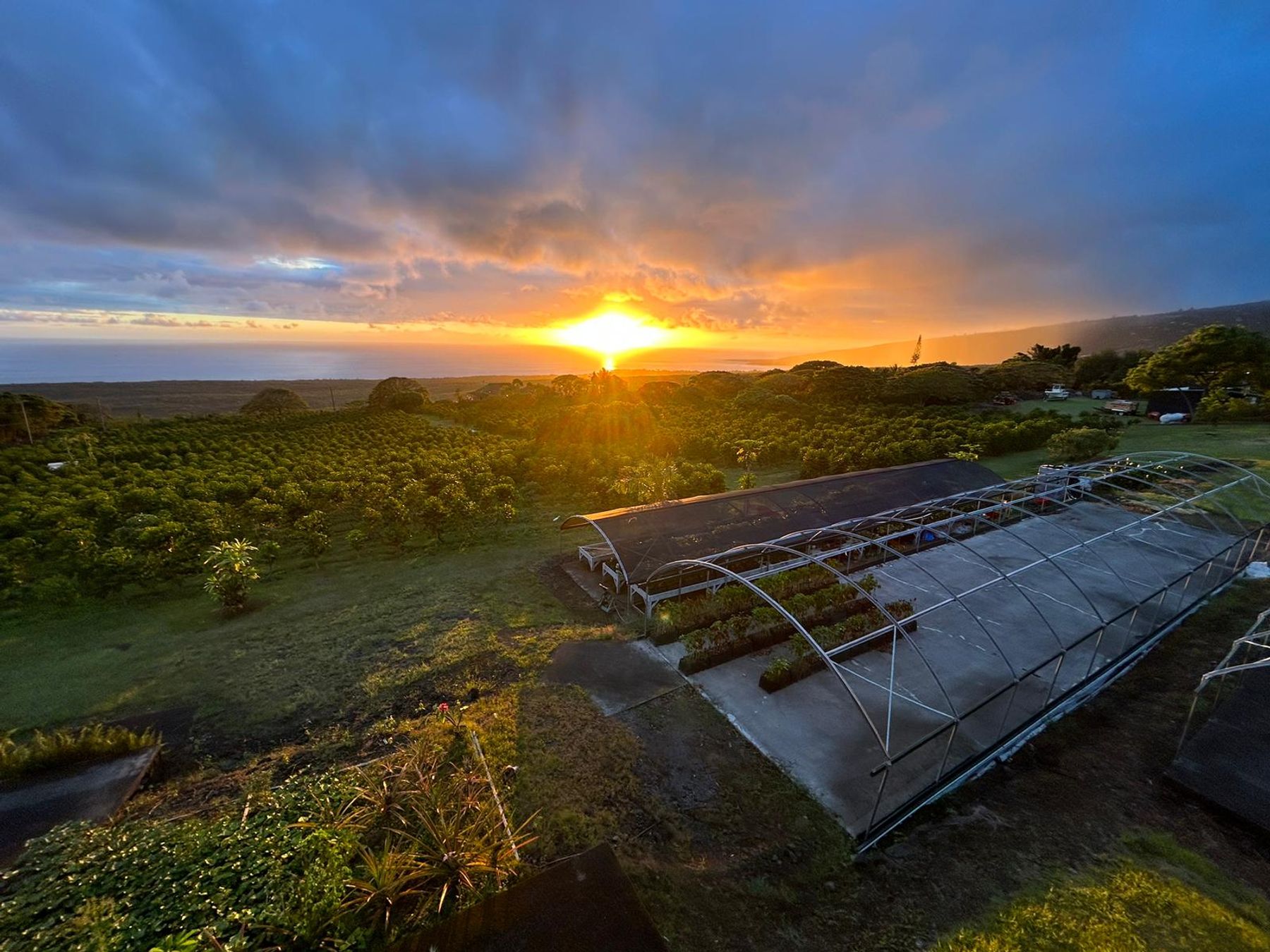 Photo 1 of Bay View Farm in South Kona, Big Island