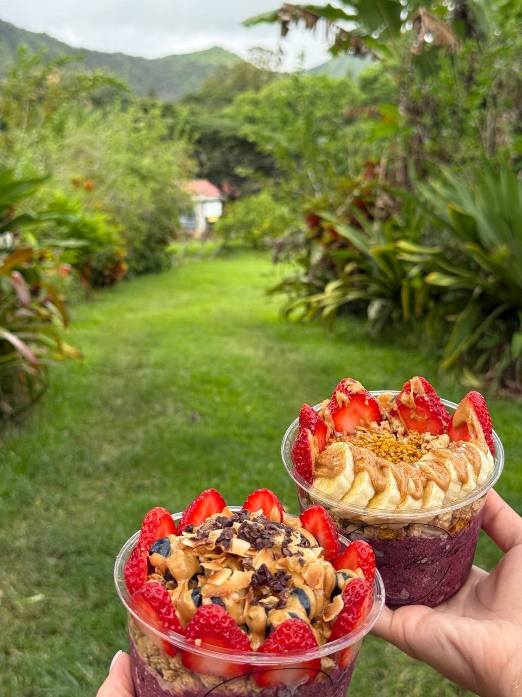 Photo 4 of Hana Bowls in Hāna, Maui
