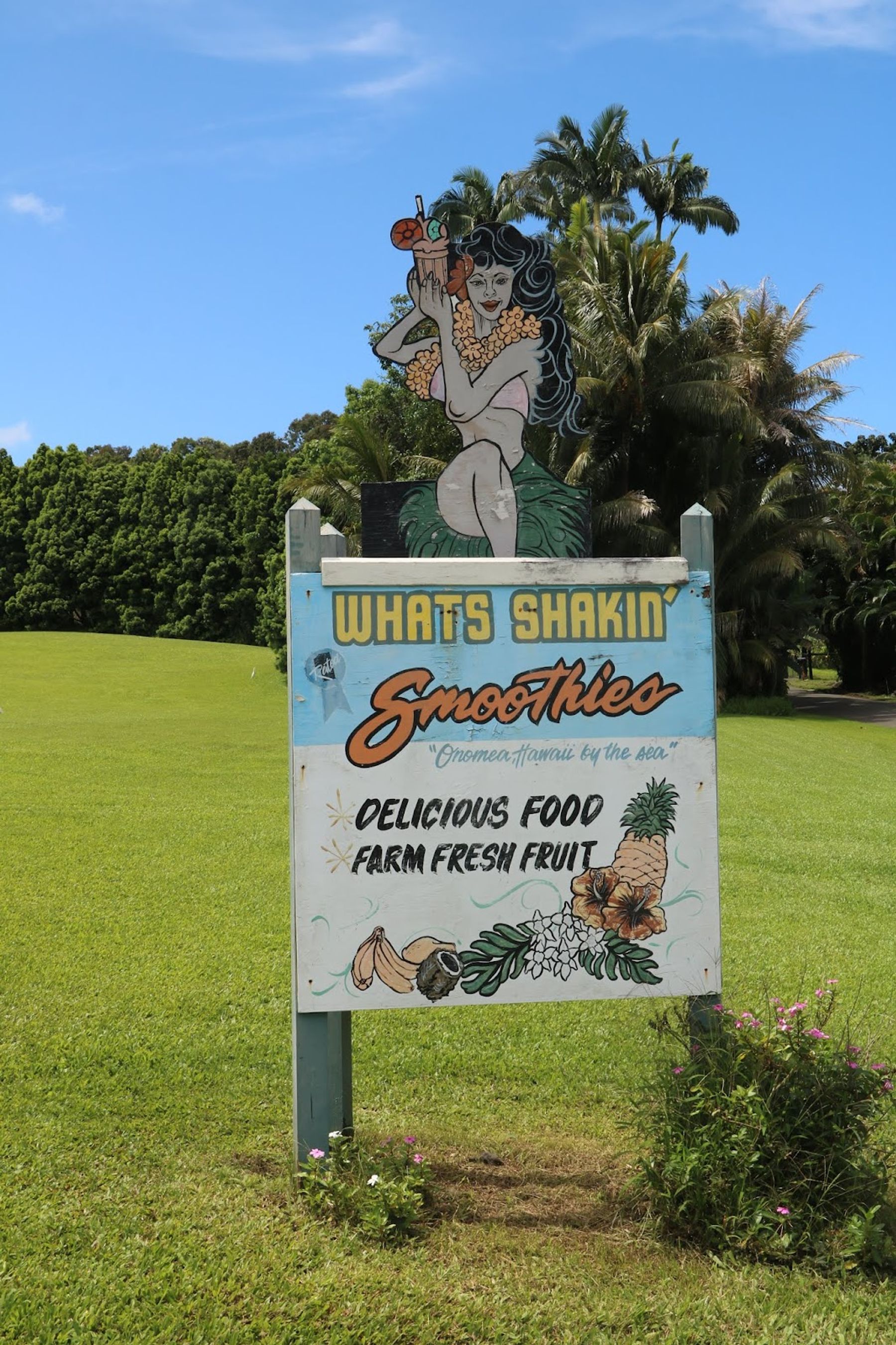 Photo 5 of What's Shakin' in Greater Hilo, Big Island