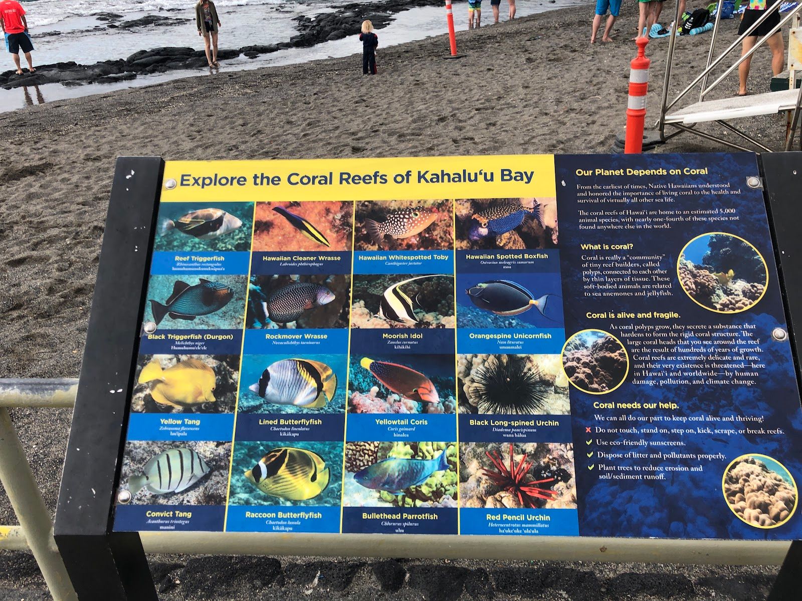 Photo 7 of Kahalu’u Beach Park in Kailua-Kona, Big Island