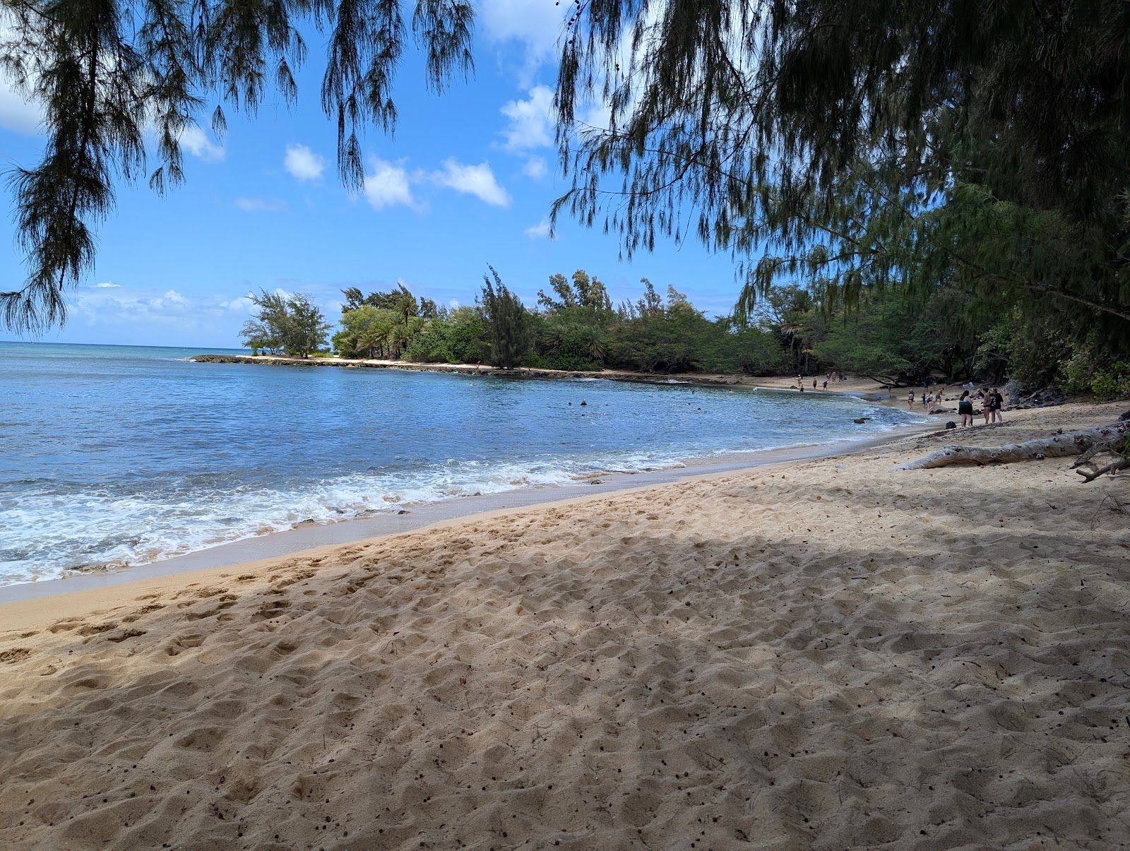 Photo 5 of Haleʻiwa Beach Park in Haleʻiwa, Oahu