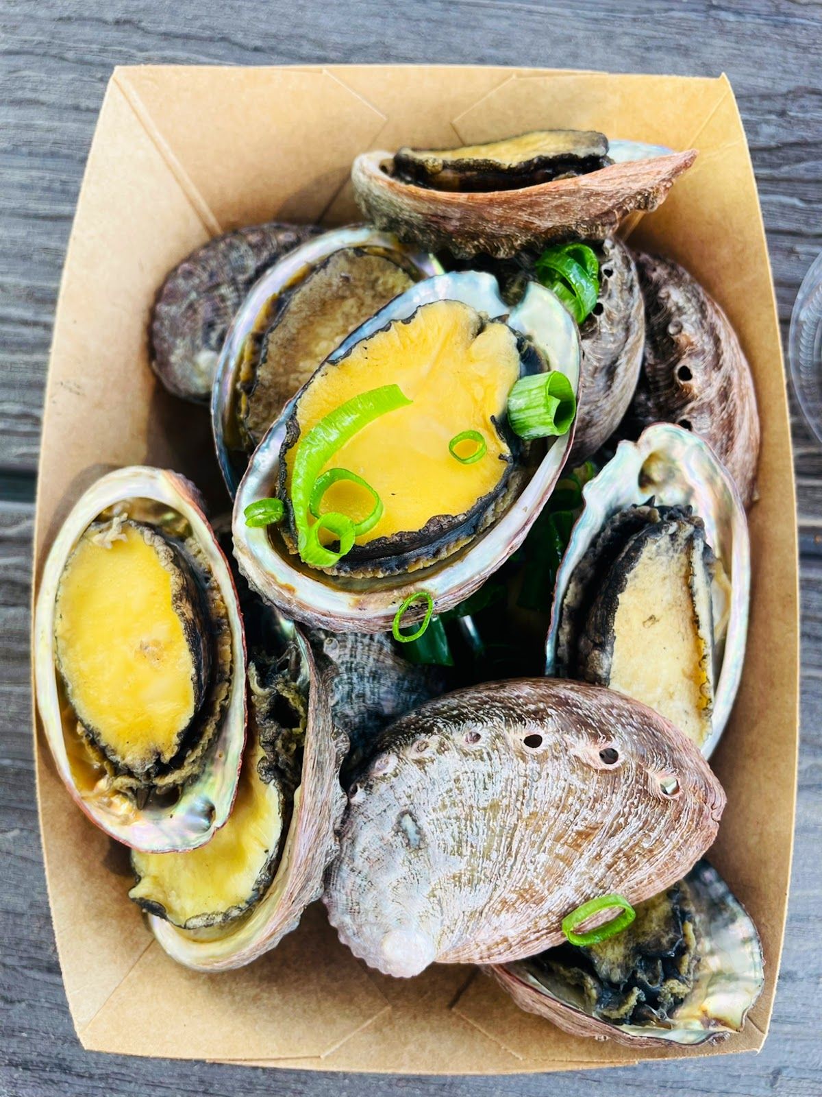 Photo 4 of Big Island Abalone (Kona Aquaculture Inc) in Kailua-Kona, Big Island