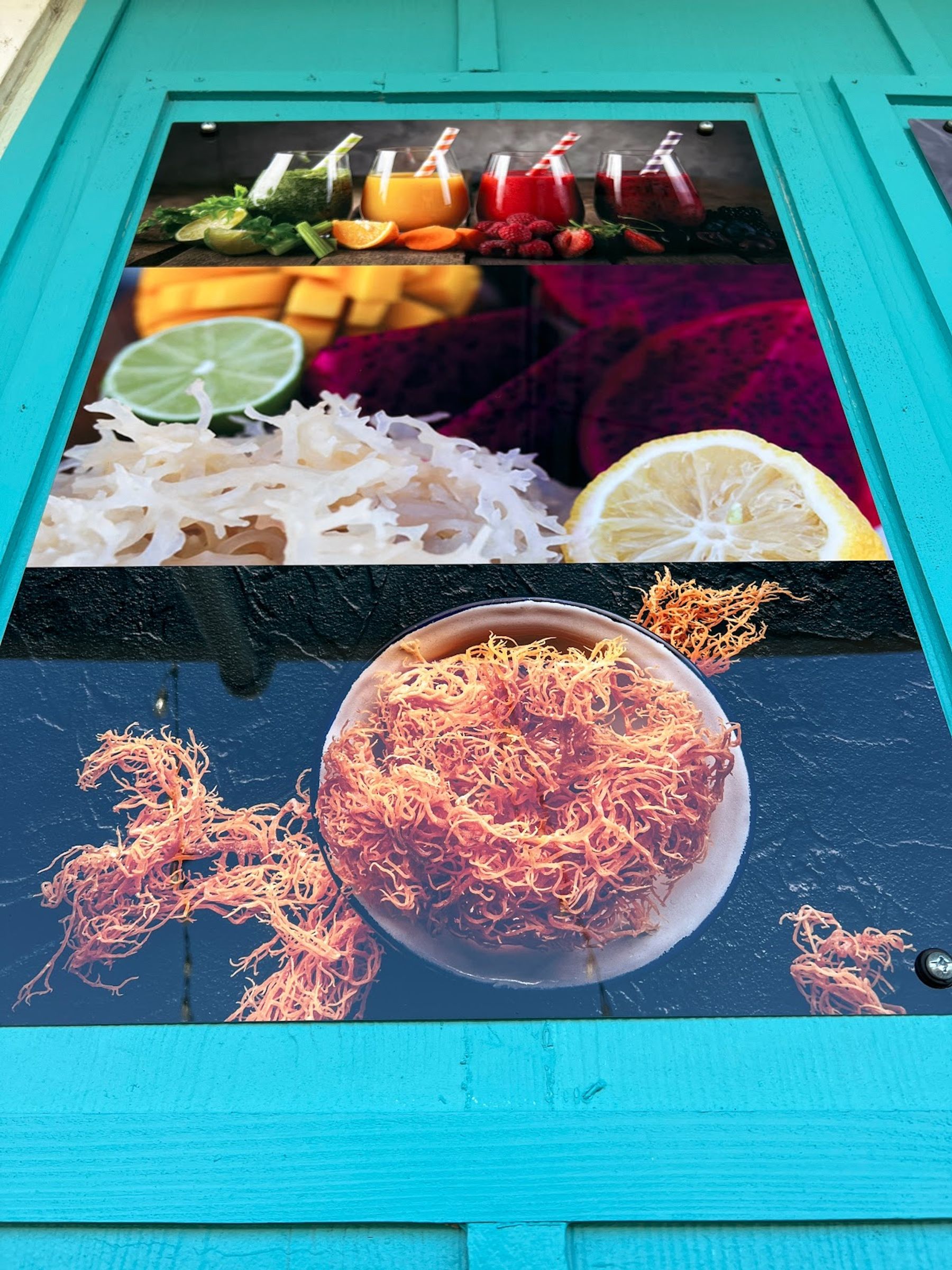 Photo 8 of SHOOTZ WELLNESS in Haʻikū, Maui
