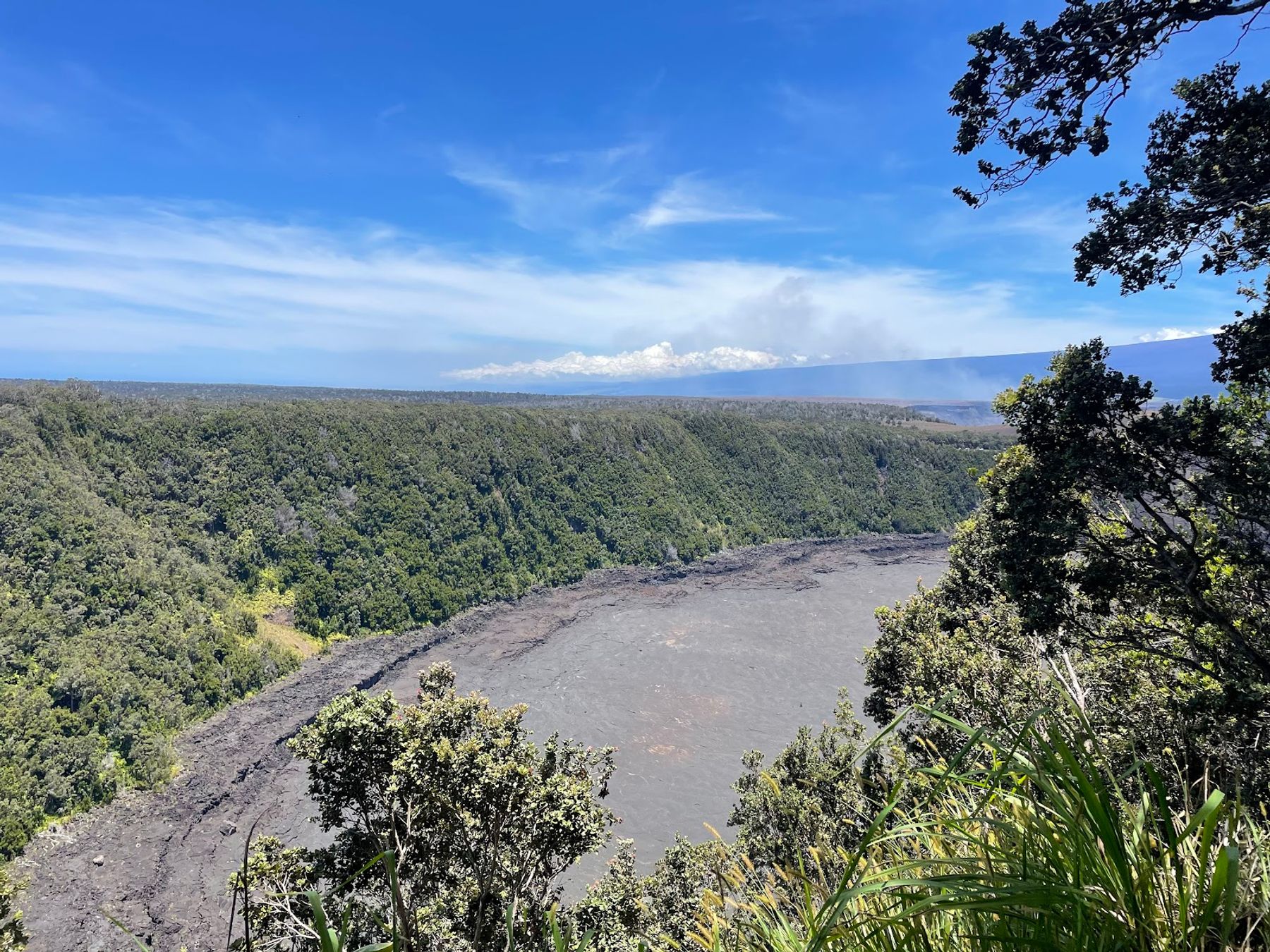 Photo 4 of Devastation Trail in Volcano, Big Island