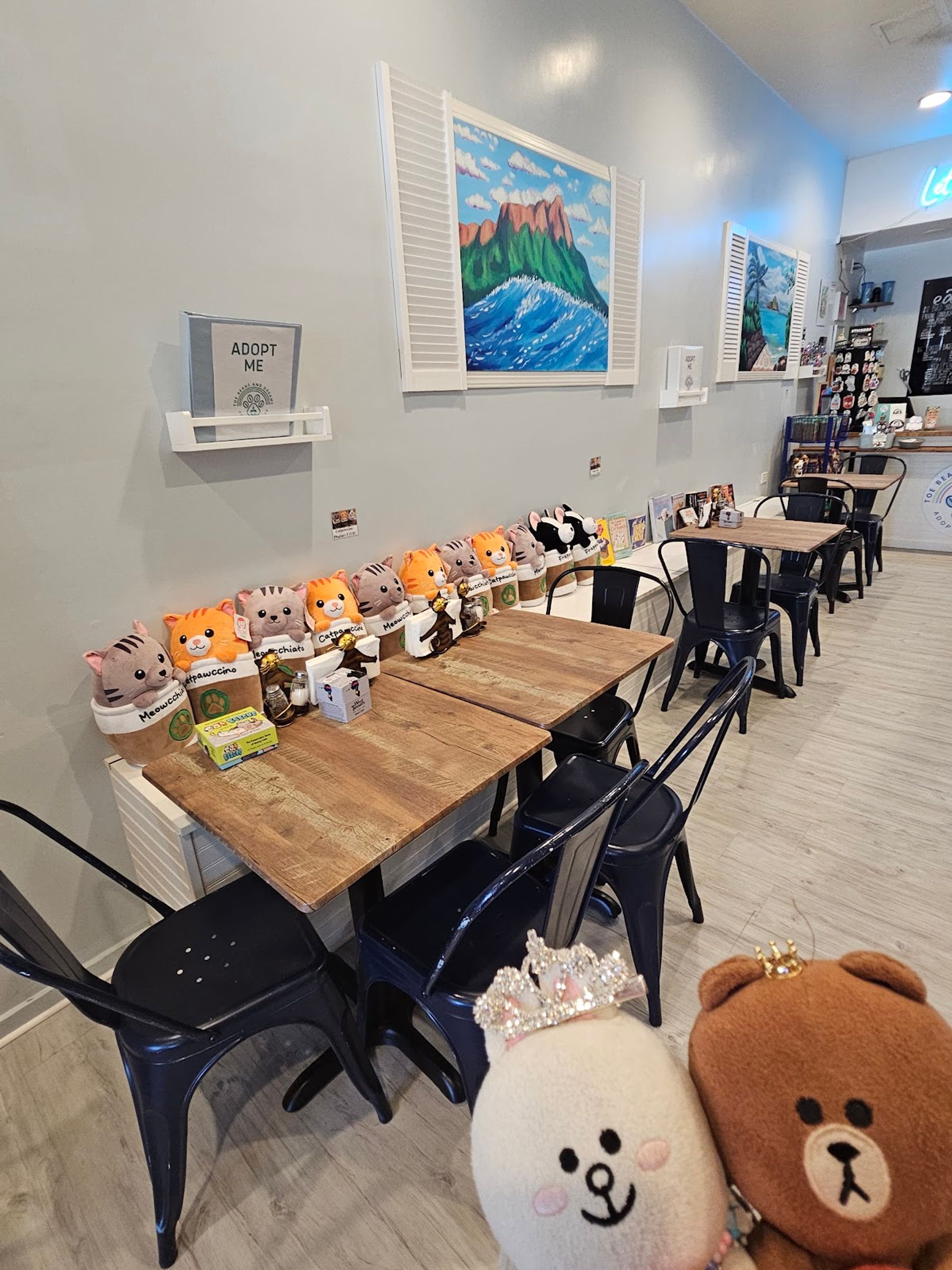Photo 8 of Toe Beans & Dreams Adoption Cafe in Pearl Harbor & ʻAiea, Oahu