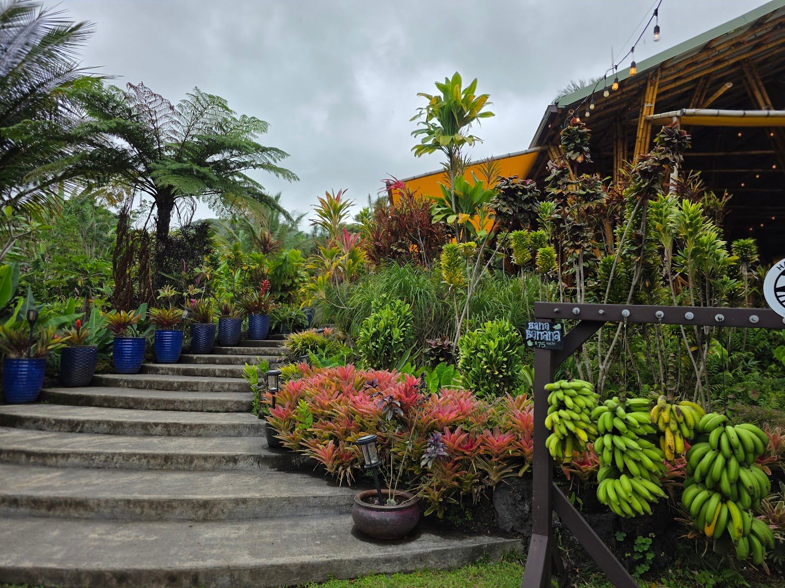 Photo 7 of Hāna Farms Roadside Stand, Pizza Oven and Bakery in Hāna, Maui