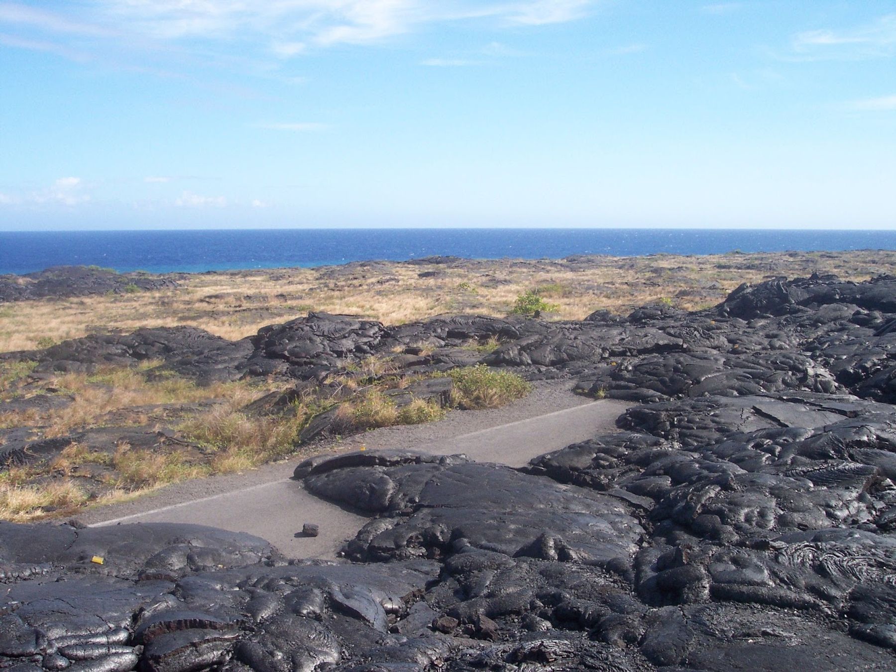 Photo 9 of Chain of Craters Road Turnaround in Volcano, Big Island