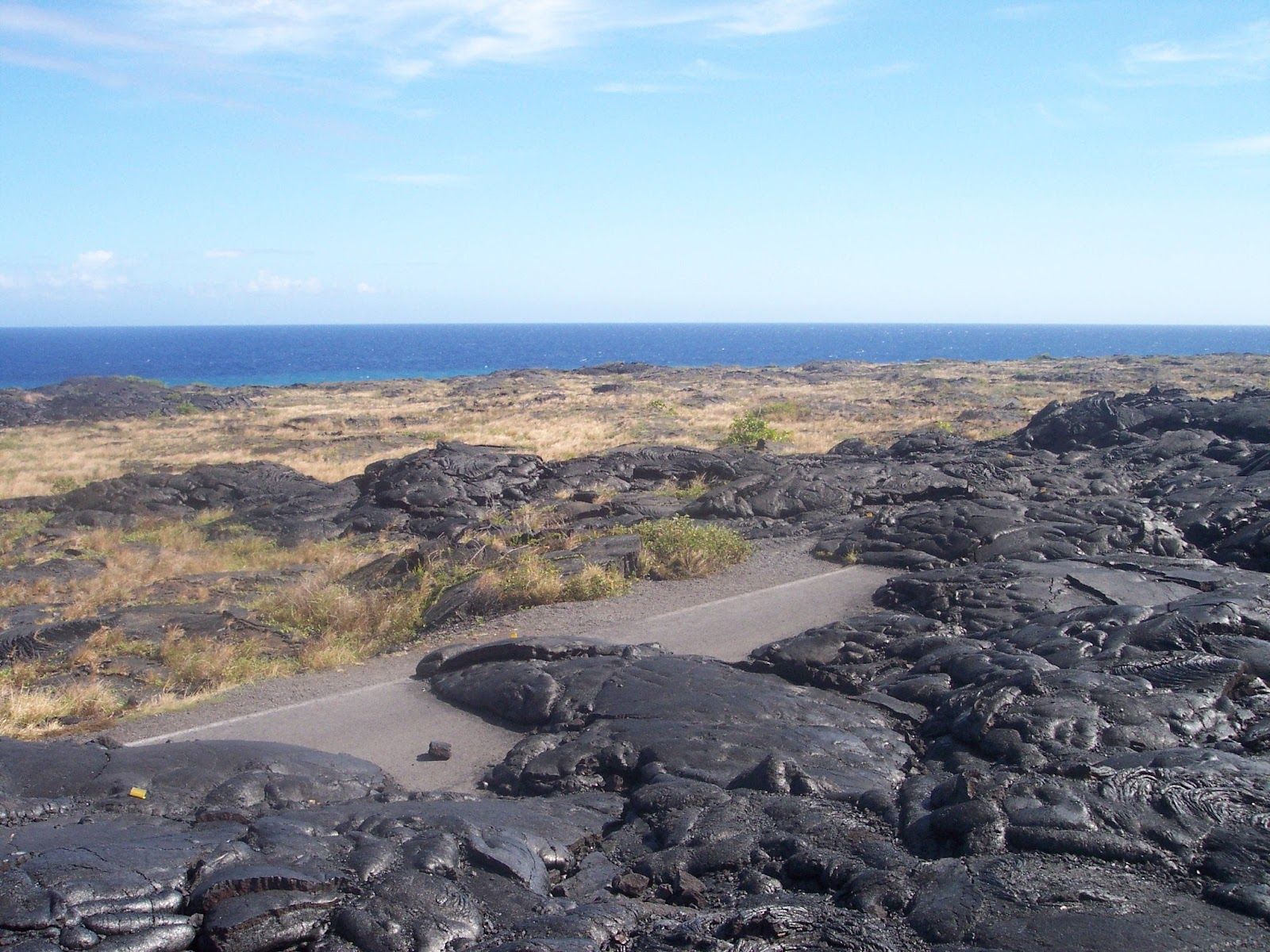 Photo 9 of Chain of Craters Road Turnaround in Volcano, Big Island