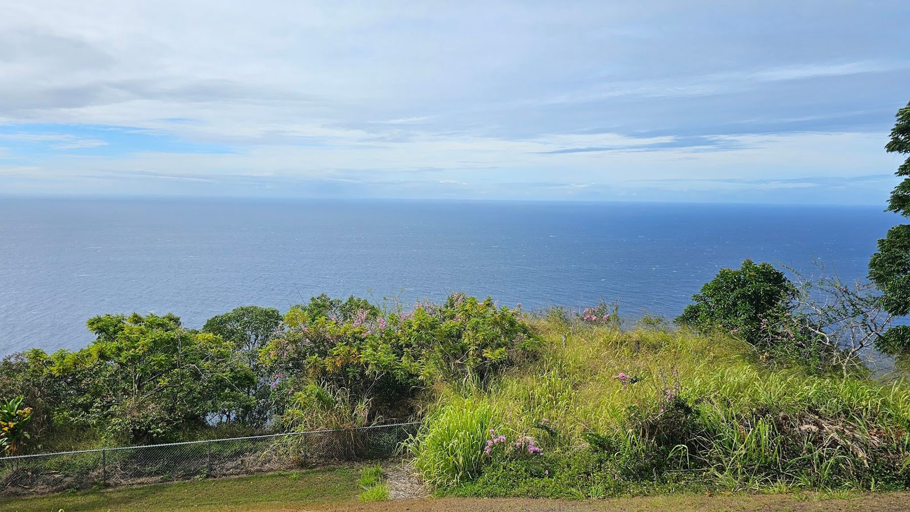 Photo 3 of Wasabi Tours Hawaii in Kailua-Kona, Big Island