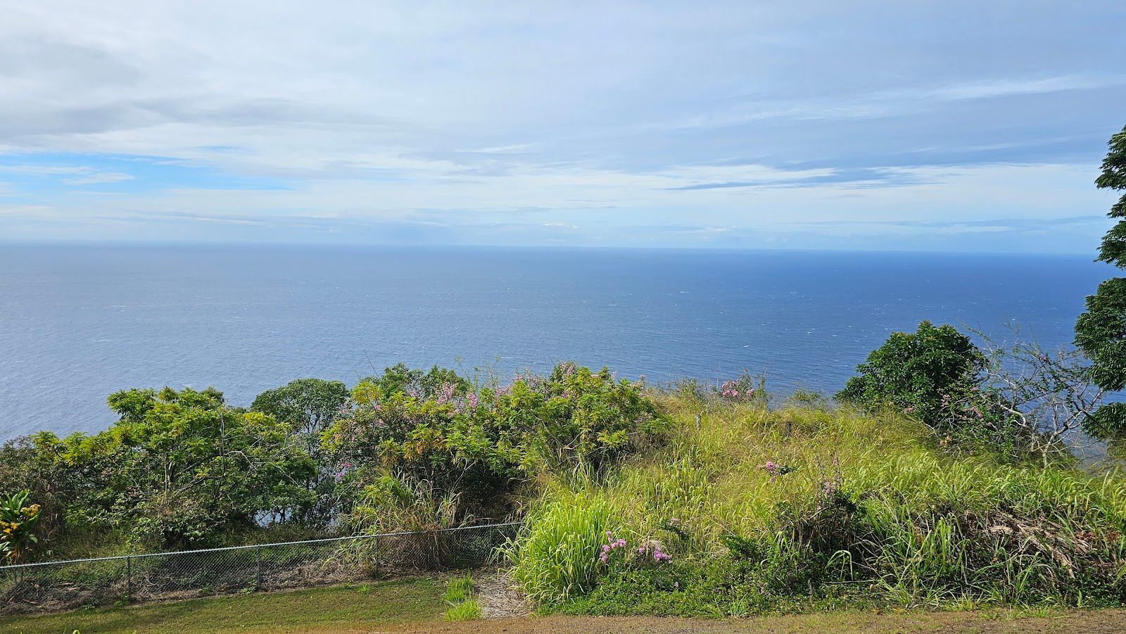 Photo 3 of Wasabi Tours Hawaii in Kailua-Kona, Big Island