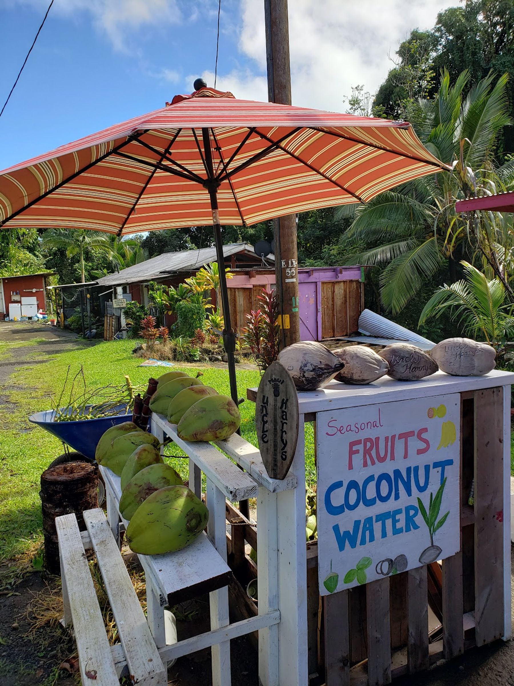 Photo 8 of Uncle Harry's Marketplace in Keʻanae-Nāhiku, Maui