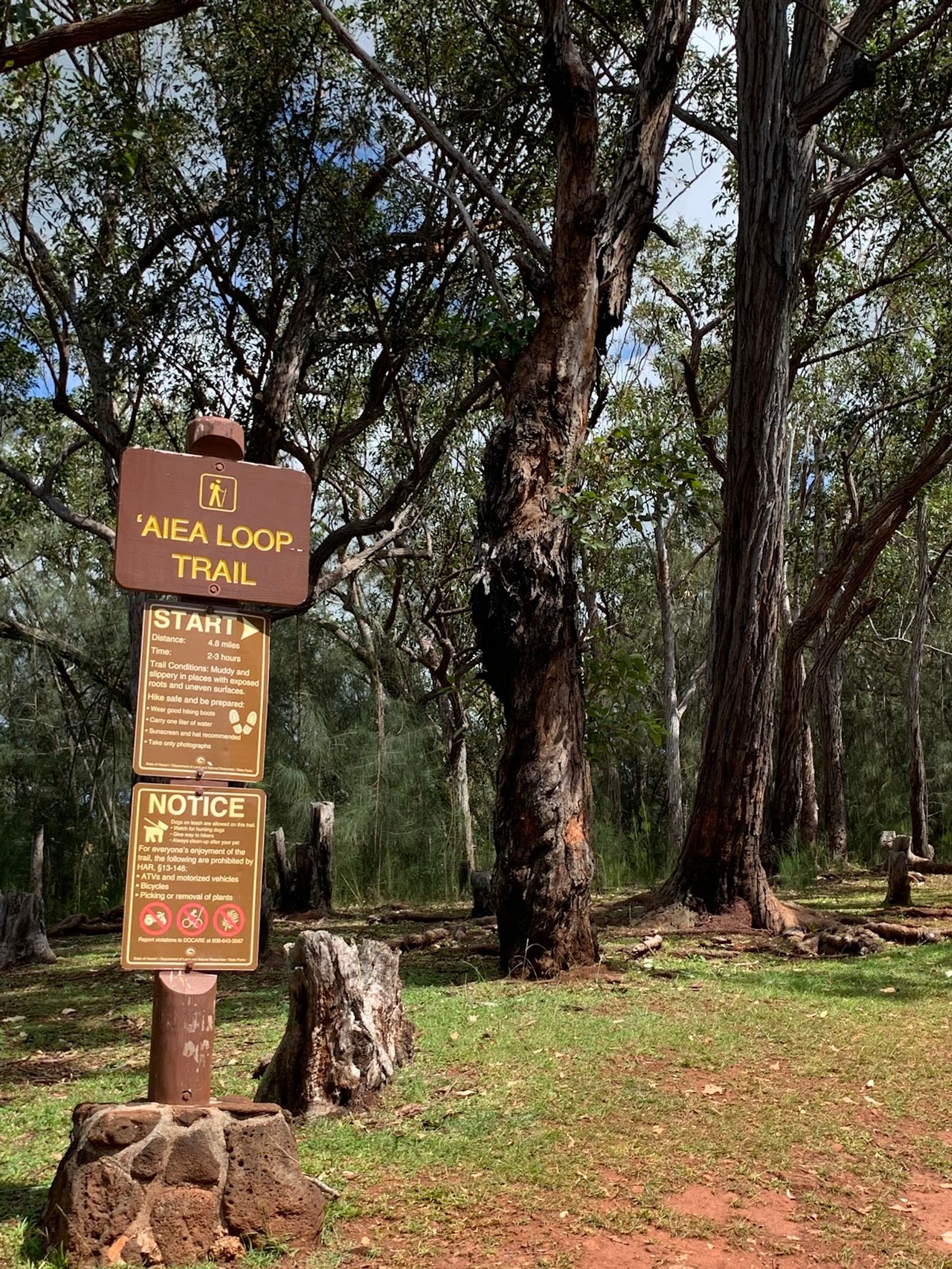 Photo 4 of ʻAiea Loop Trailhead in Pearl Harbor & ʻAiea, Oahu