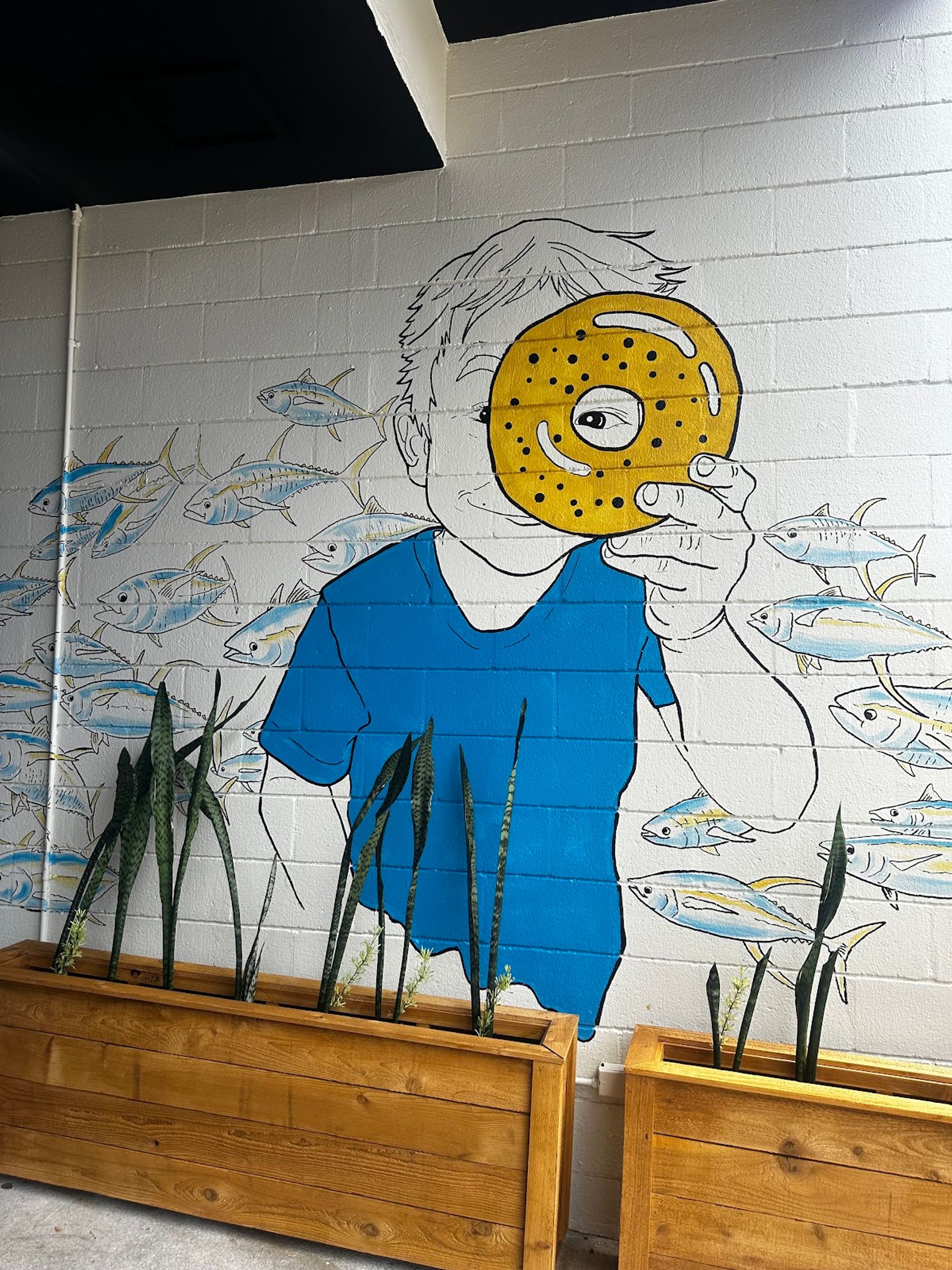 Photo 5 of Fin's Bagels in Diamond Head & Kapahulu, Oahu