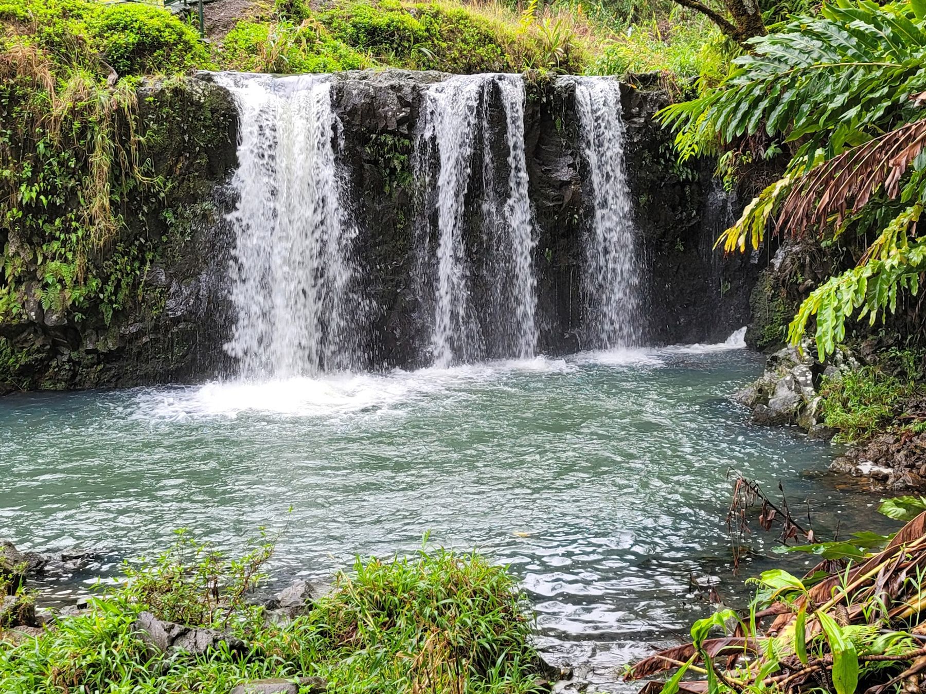 Photo 6 of Pua'a Ka'a State Wayside in Keʻanae-Nāhiku, Maui