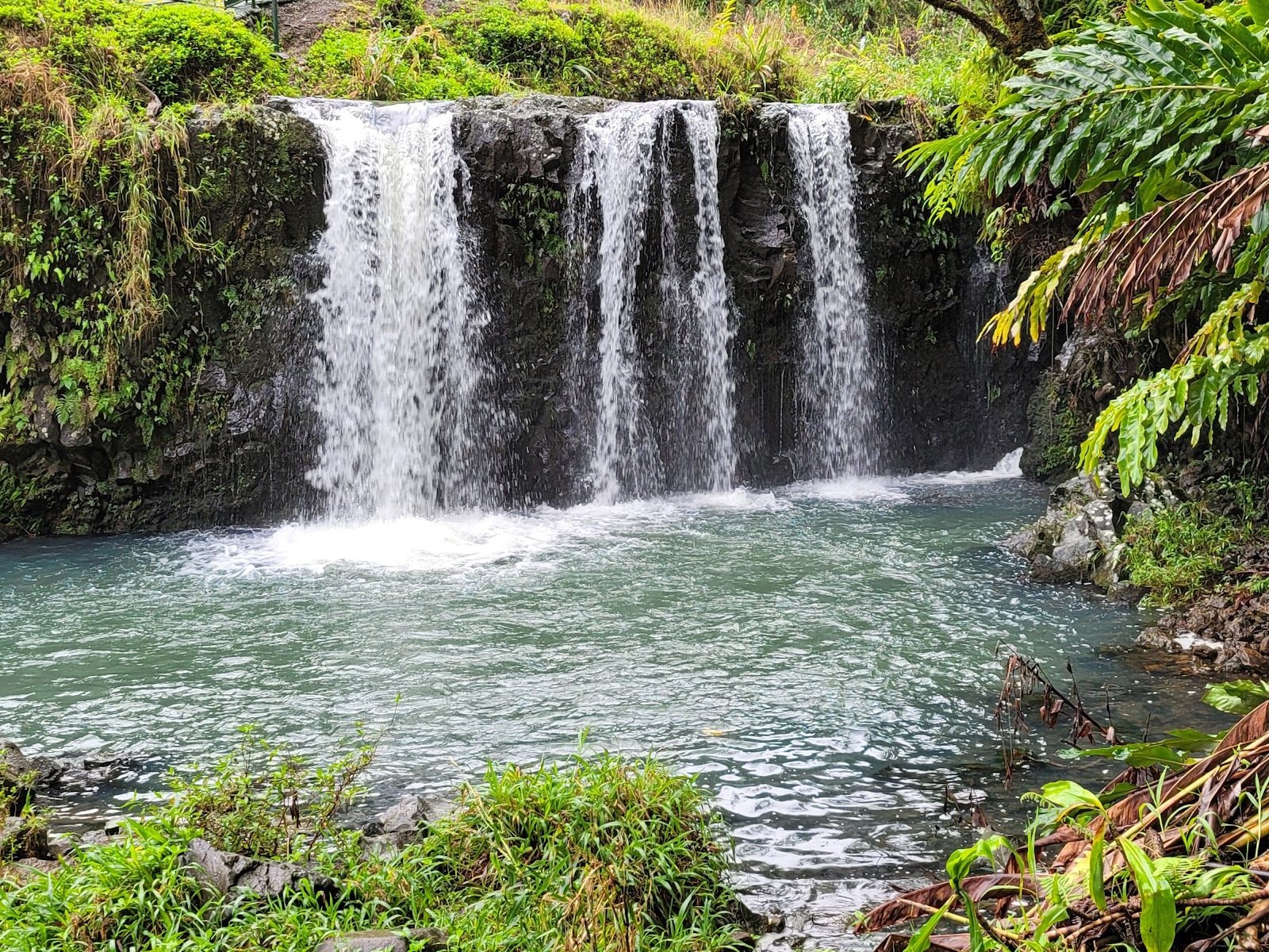 Photo 6 of Pua'a Ka'a State Wayside in Keʻanae-Nāhiku, Maui
