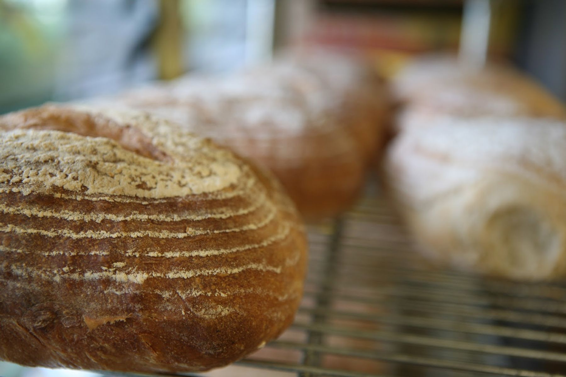 Freshly baked artisan bread loaves with golden crusts cooling on a bakery rack