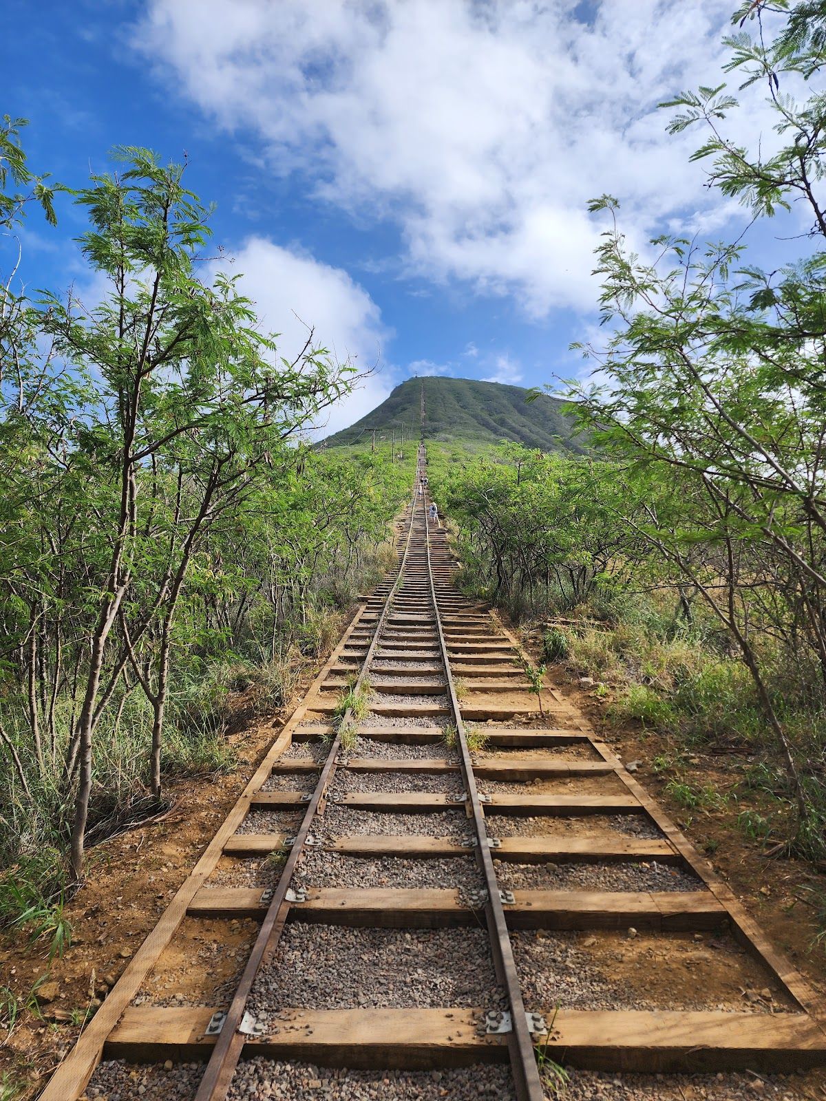 Photo 6 of Koko Crater Botanical Garden in Hawaiʻi Kai & East Honolulu, Oahu