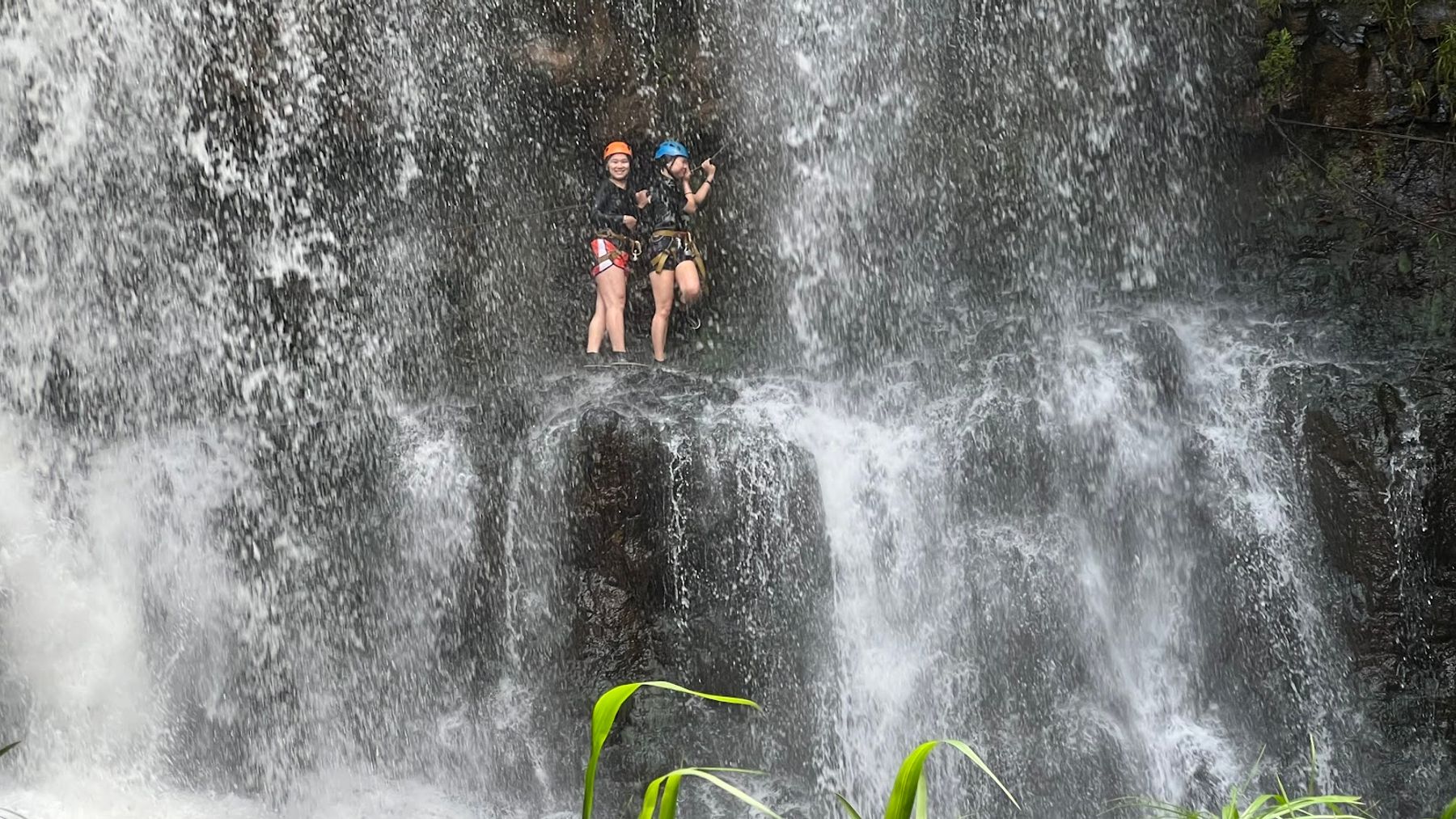 Da Life Outdoors in Lihue, Kaua‘i photo 3