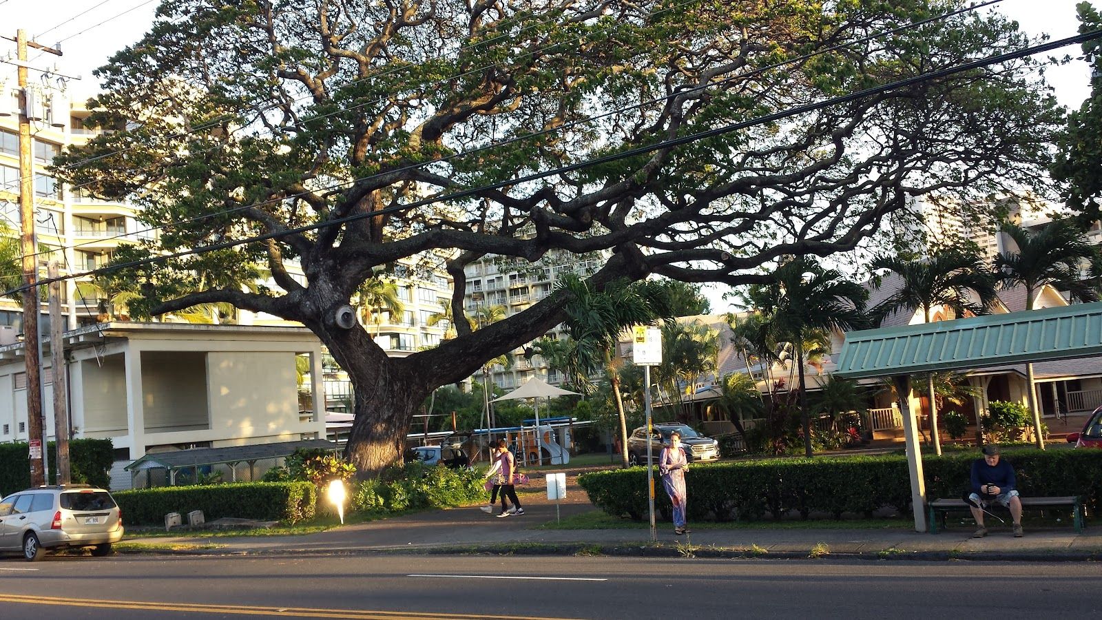 Photo 5 of Makiki District Park in Mānoa, Makiki & Nuʻuanu, Oahu