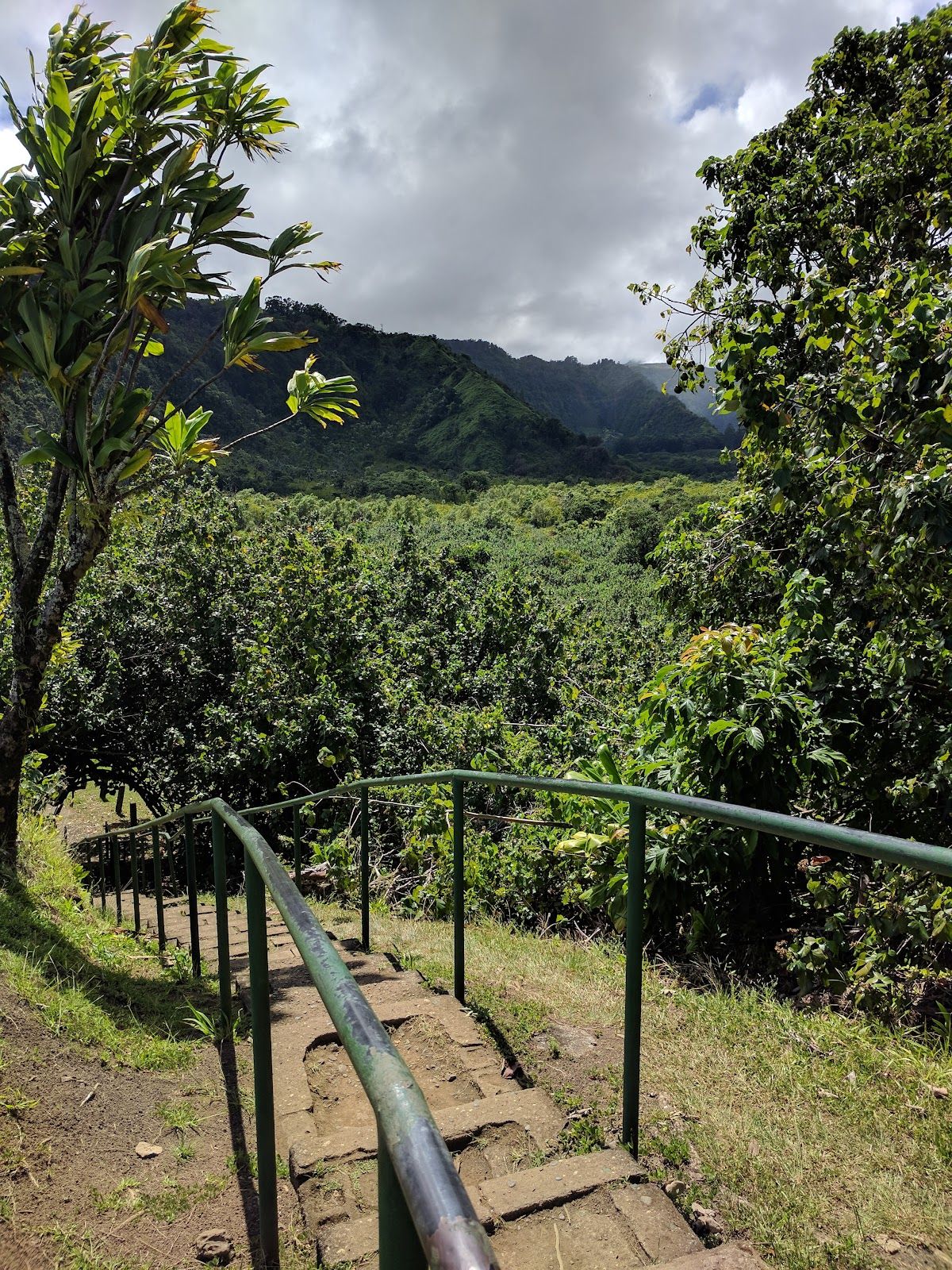 Photo 6 of Wailua Valley State Wayside in Keʻanae-Nāhiku, Maui