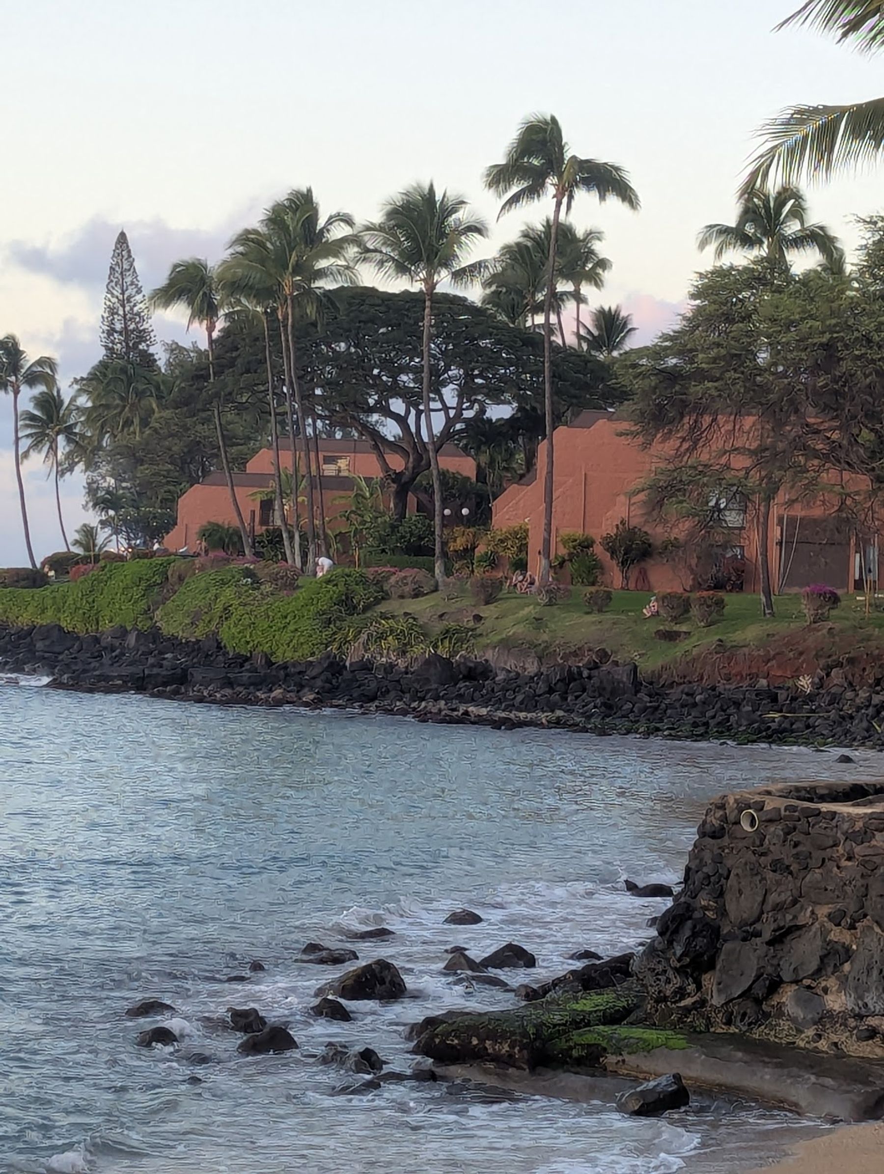 Photo 9 of Hale Mahina Beach Resort in Kapalua, Maui