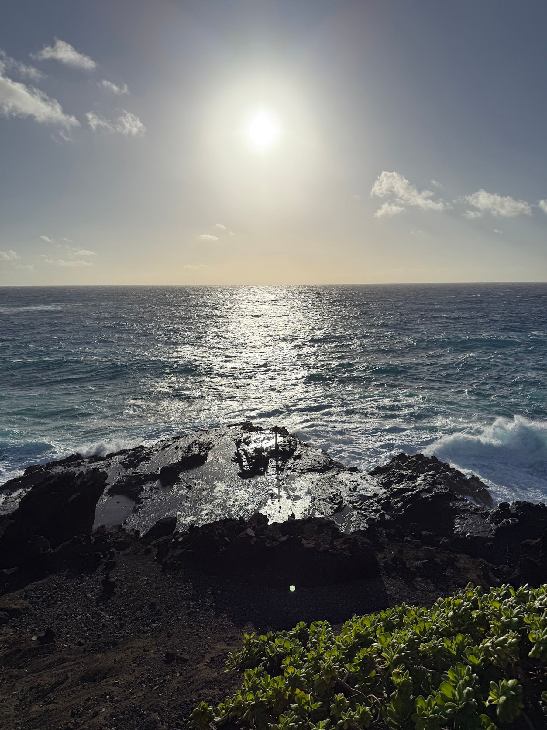 Photo 8 of Go Tours Hawaii in Waikīkī, Oahu