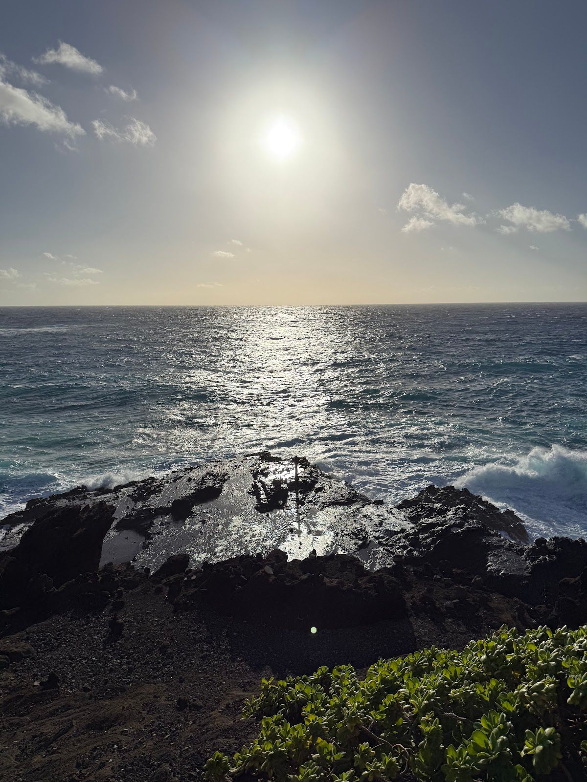 Photo 8 of Go Tours Hawaii in Waikīkī, Oahu