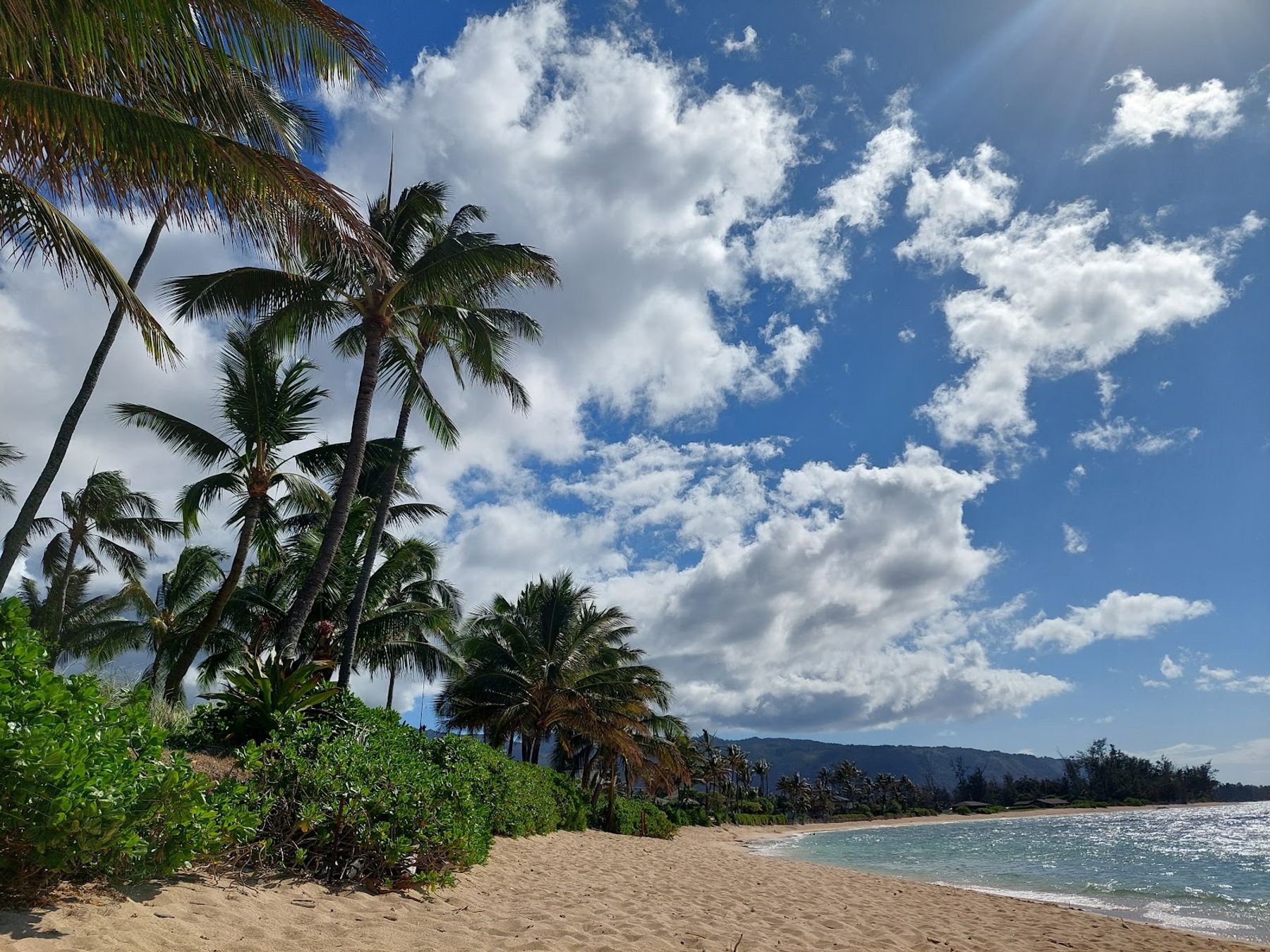 Photo 5 of Mokulēʻia Beach Park in Waialua & Mokulēʻia, Oahu