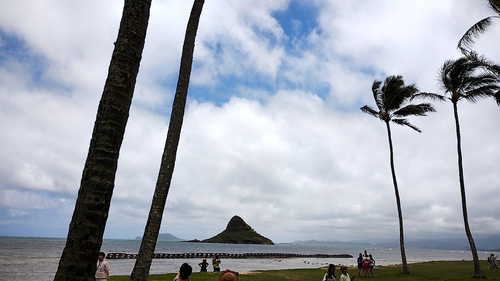 Photo 2 of Oahu Circle Island Tours in Waikīkī, Oahu