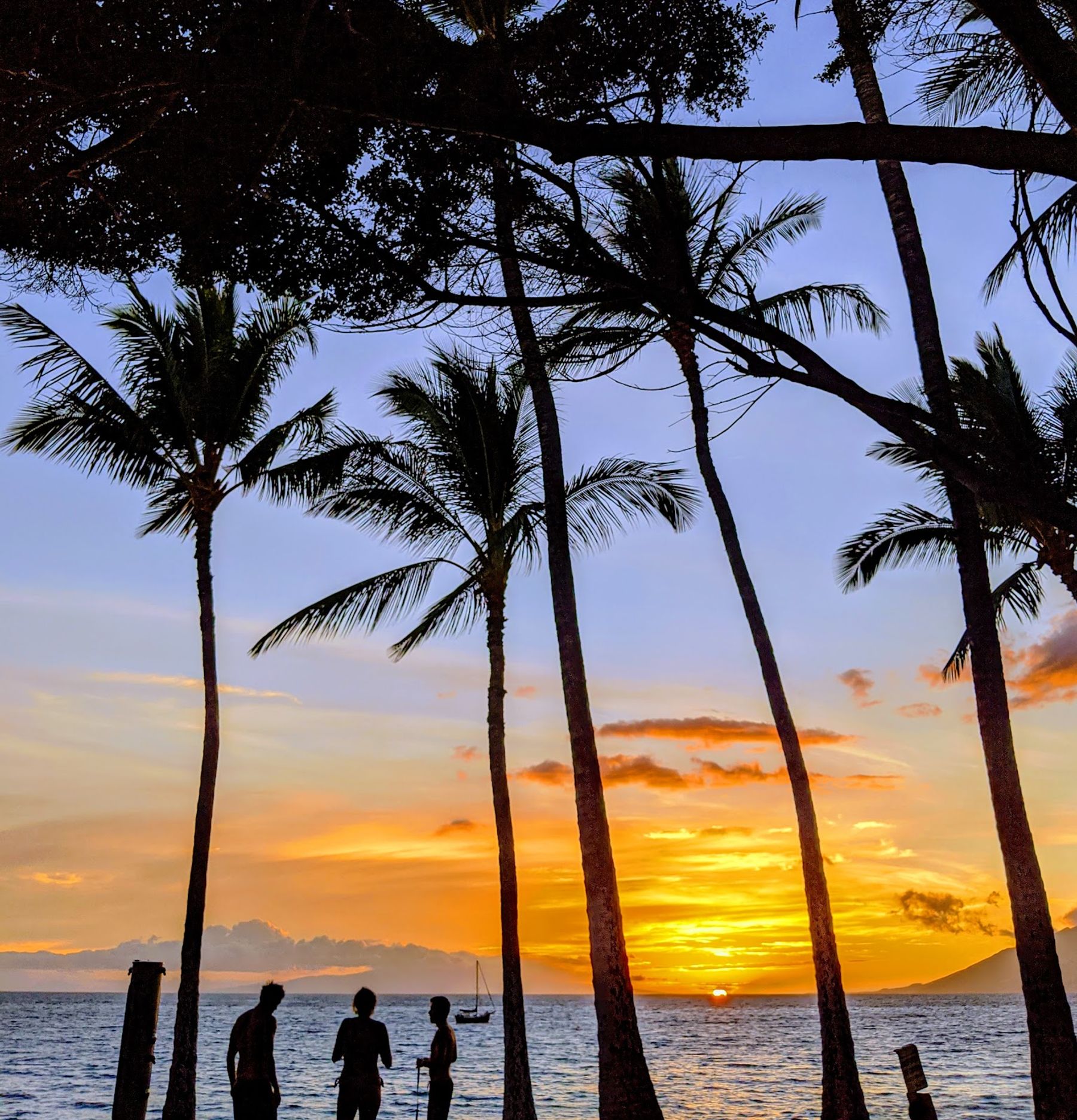 Photo 7 of Kamaole Beach Park I in Kīhei, Maui