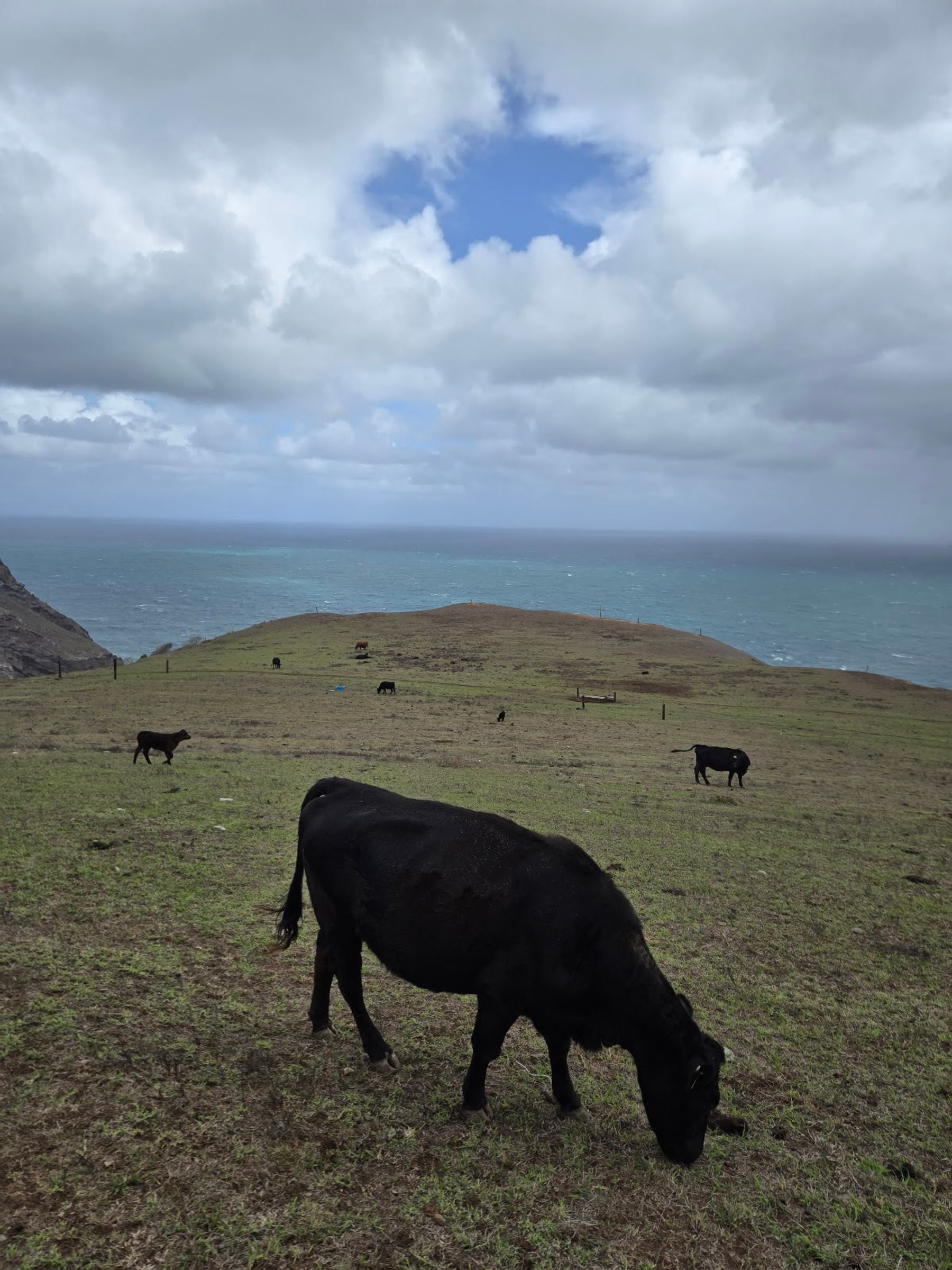 Photo 8 of Honokohau Lookout in Kapalua, Maui