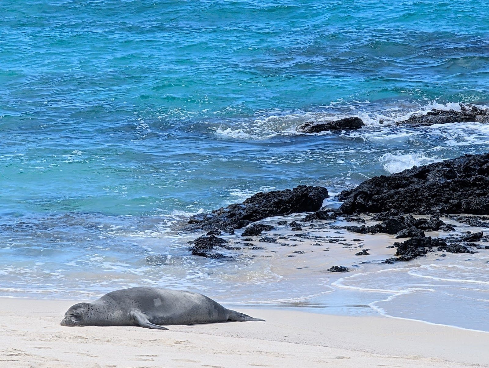 Photo 9 of Makalawena Beach in Kailua-Kona, Big Island