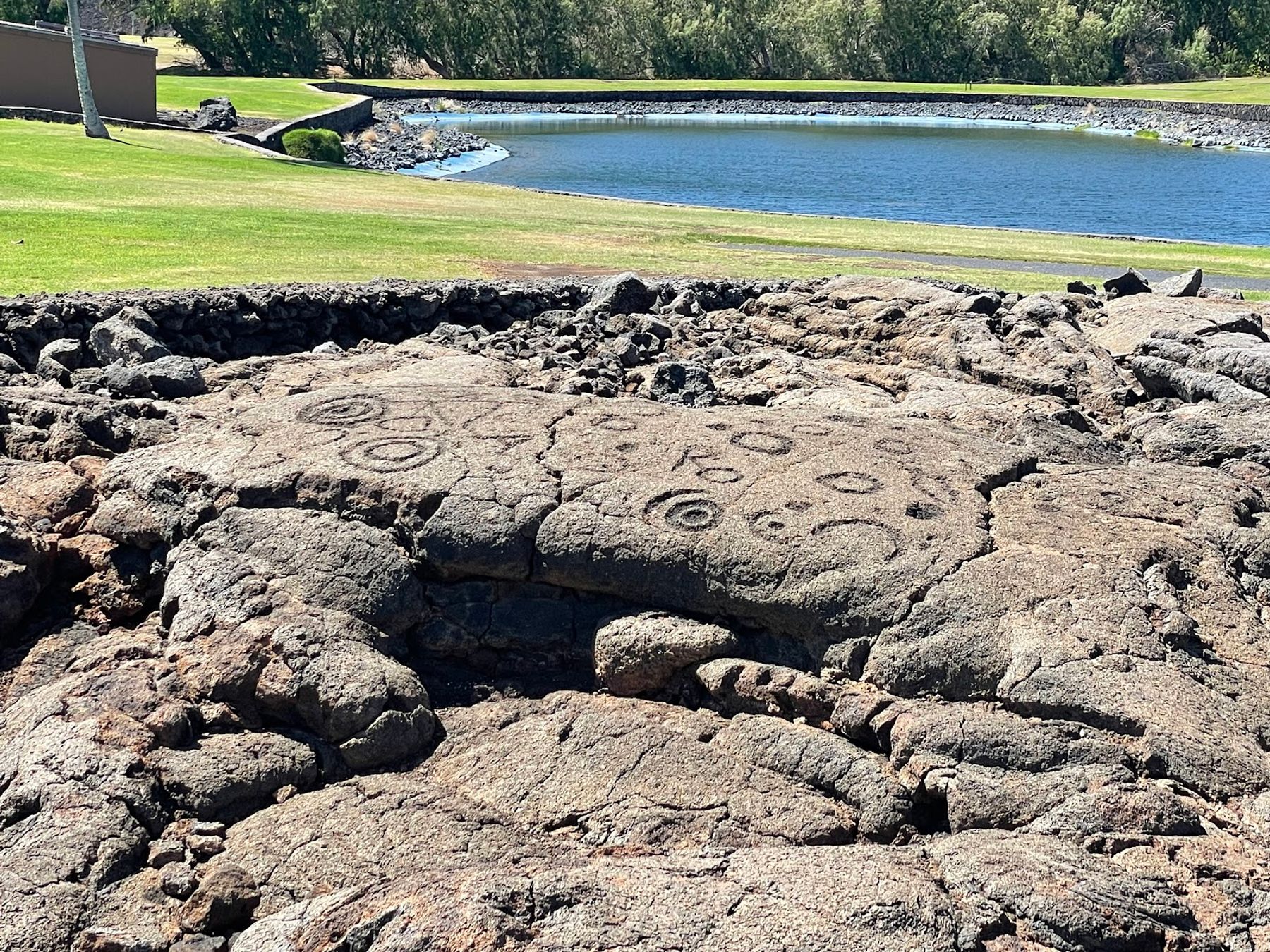 Photo 6 of Waikōloa Petroglyph Reserve in Waikoloa, Big Island