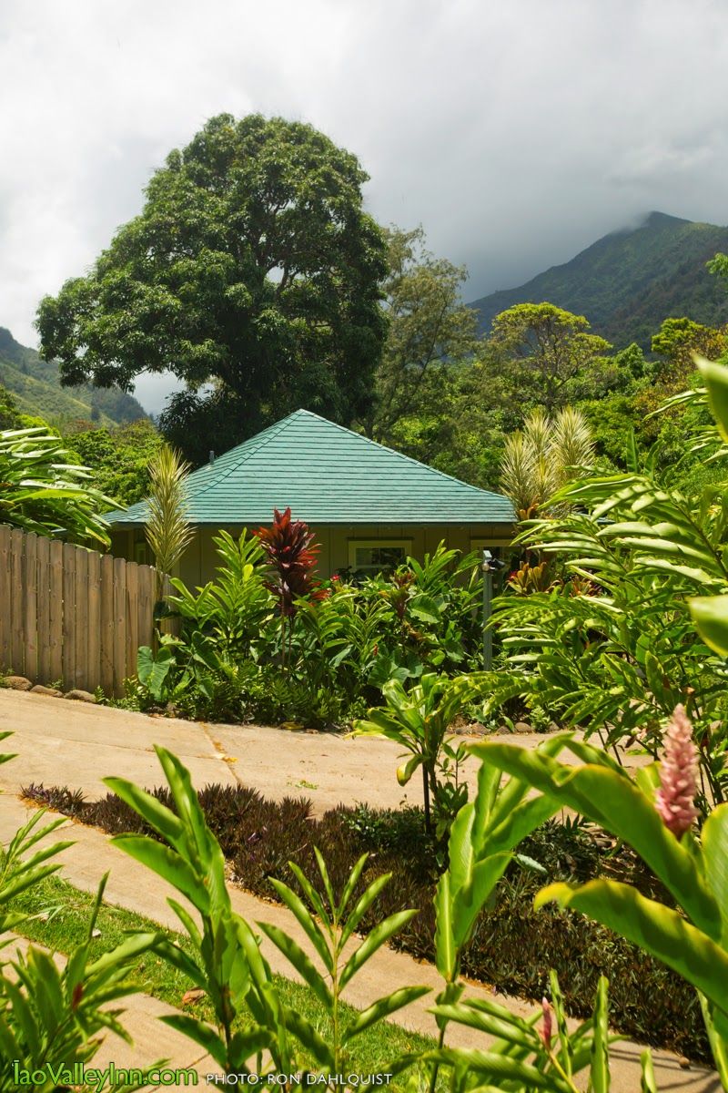 Photo 8 of Iao Valley Inn in Wailuku, Maui