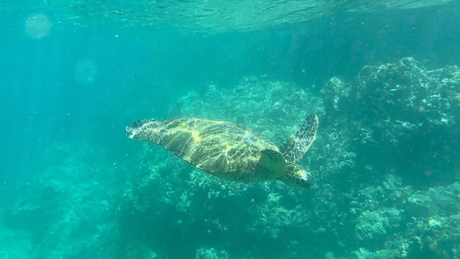 Photo 5 of Zephyr Maui in Kīhei, Maui