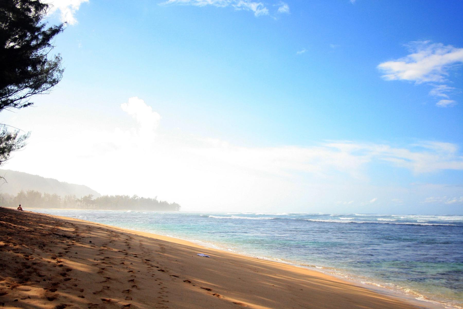 Sandy beach with footprints beside gentle waves under a bright blue sky, with distant trees and low hills along Oʻahu’s North Shore.