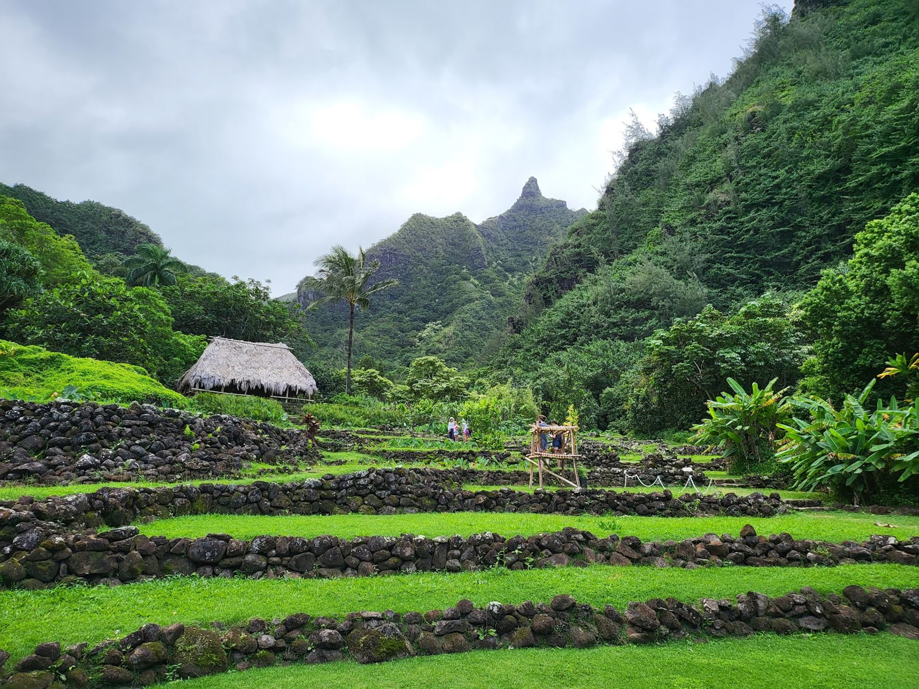 Limahuli Garden & Preserve, National Tropical Botanical Garden in Hanalei, Kaua‘i