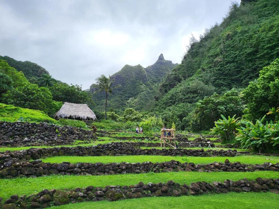 Limahuli Garden & Preserve, National Tropical Botanical Garden in Hanalei, Kaua‘i