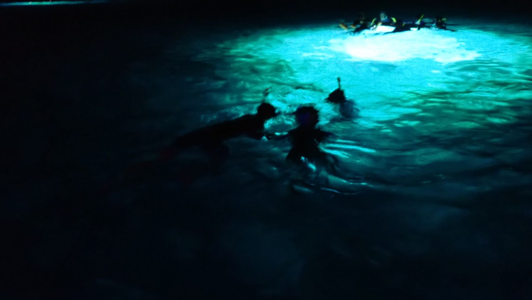Photo 6 of Hawaii Snorkel Tours in Kailua-Kona, Big Island