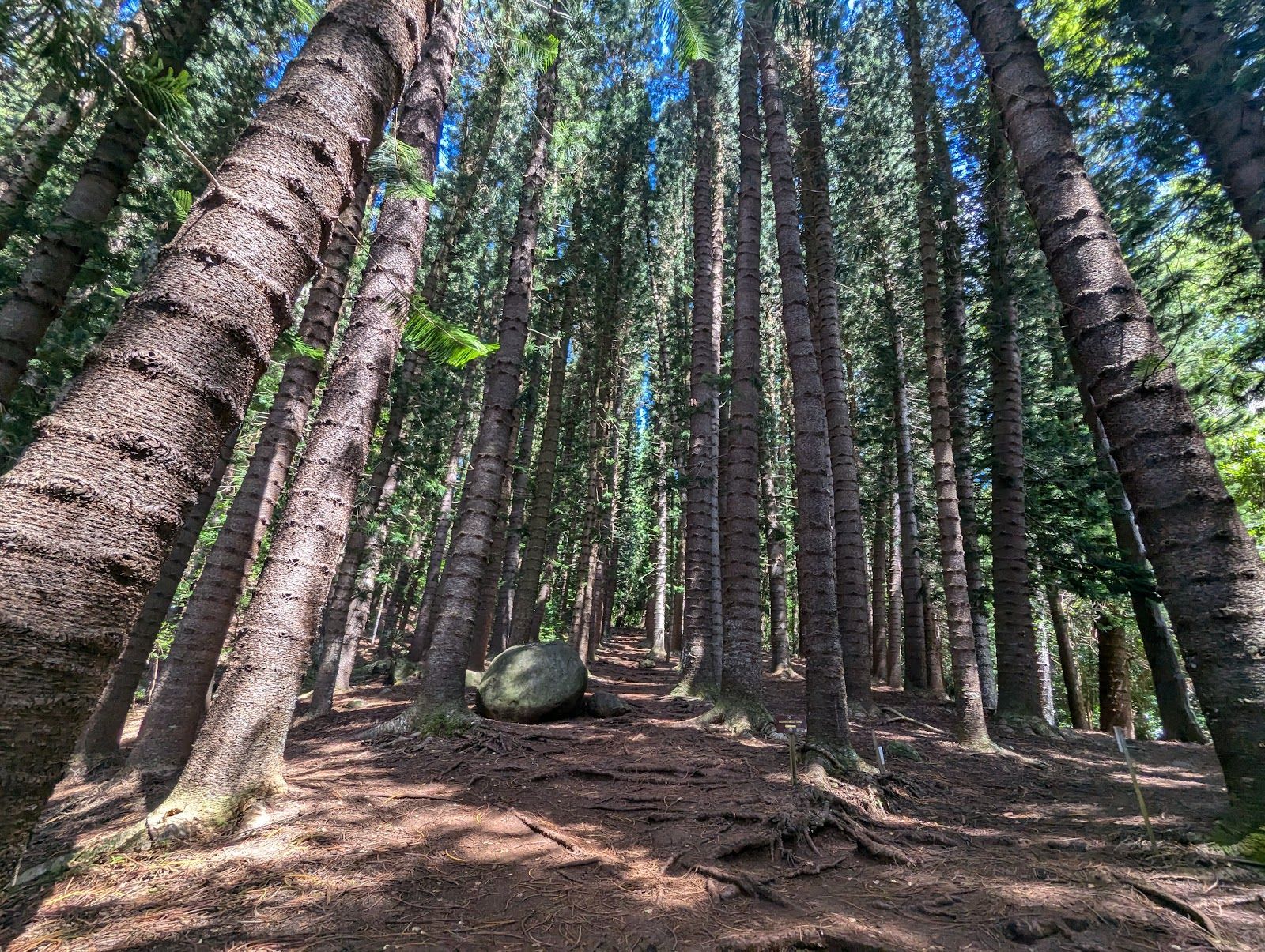 Sleeping Giant West Trailhead in Kapaʻa, Kaua‘i photo 2