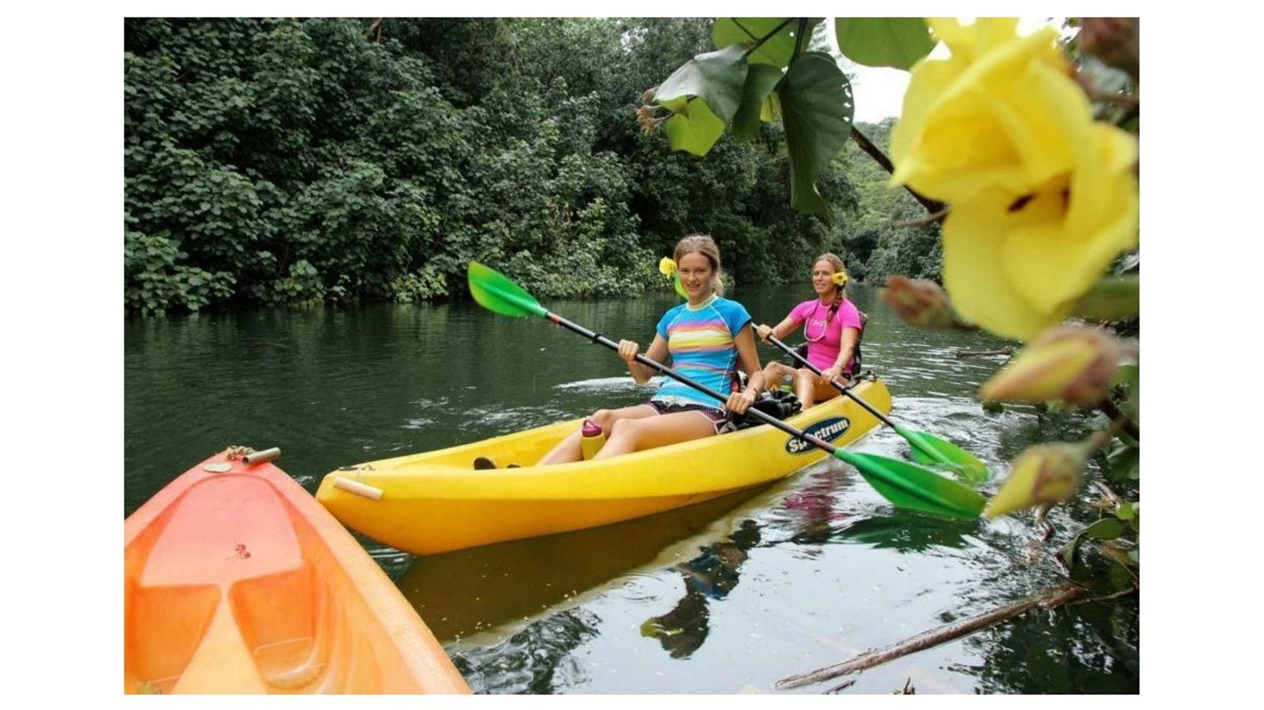 Ali'i Kayaks in Kapaʻa, Kaua‘i