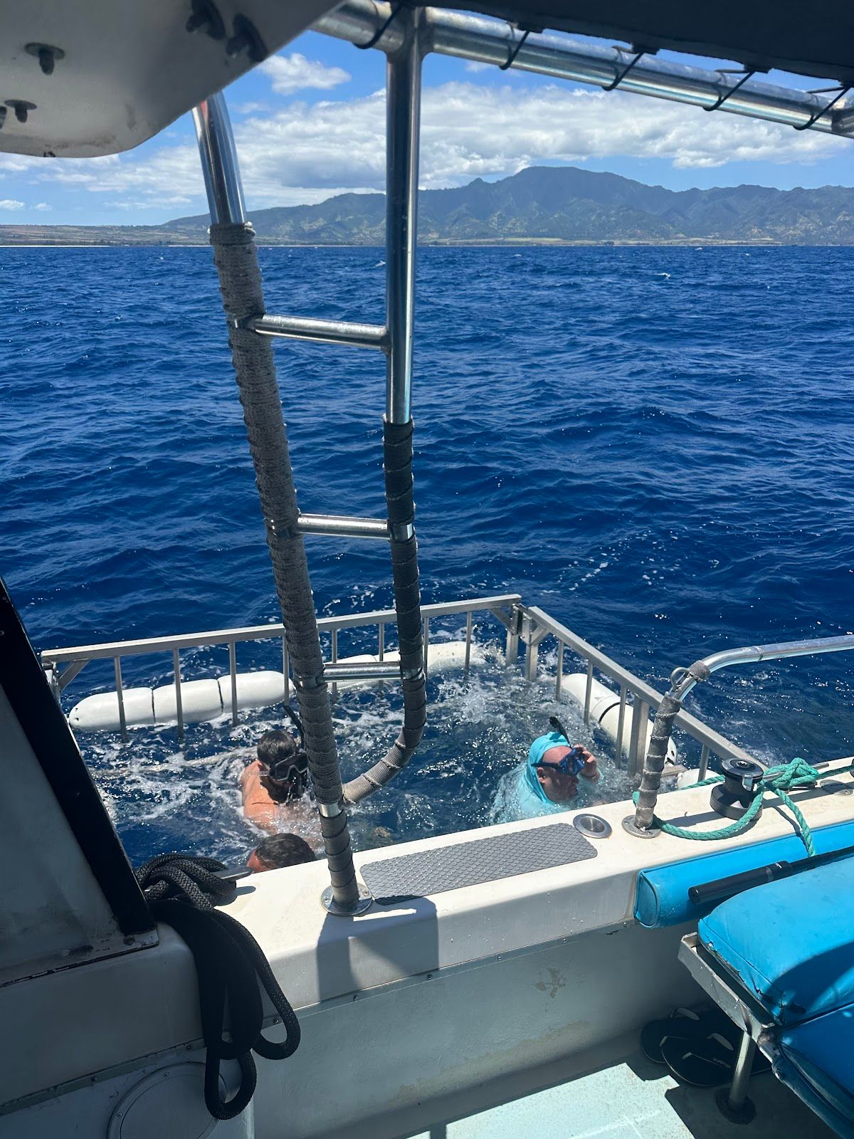 Photo 7 of Hawaii Shark Encounters in Haleʻiwa, Oahu