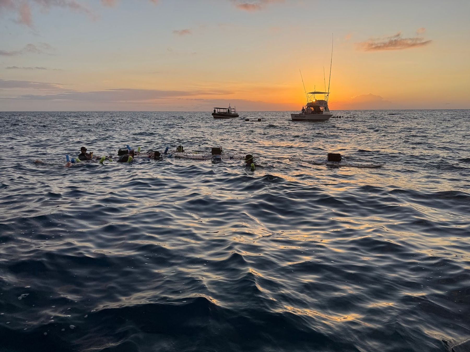 Photo 6 of Ocean Encounters in Kailua-Kona, Big Island