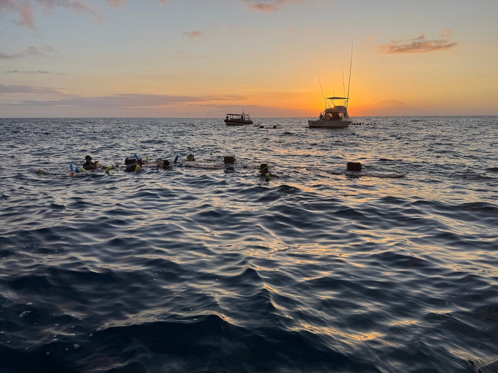 Photo 6 of Ocean Encounters in Kailua-Kona, Big Island
