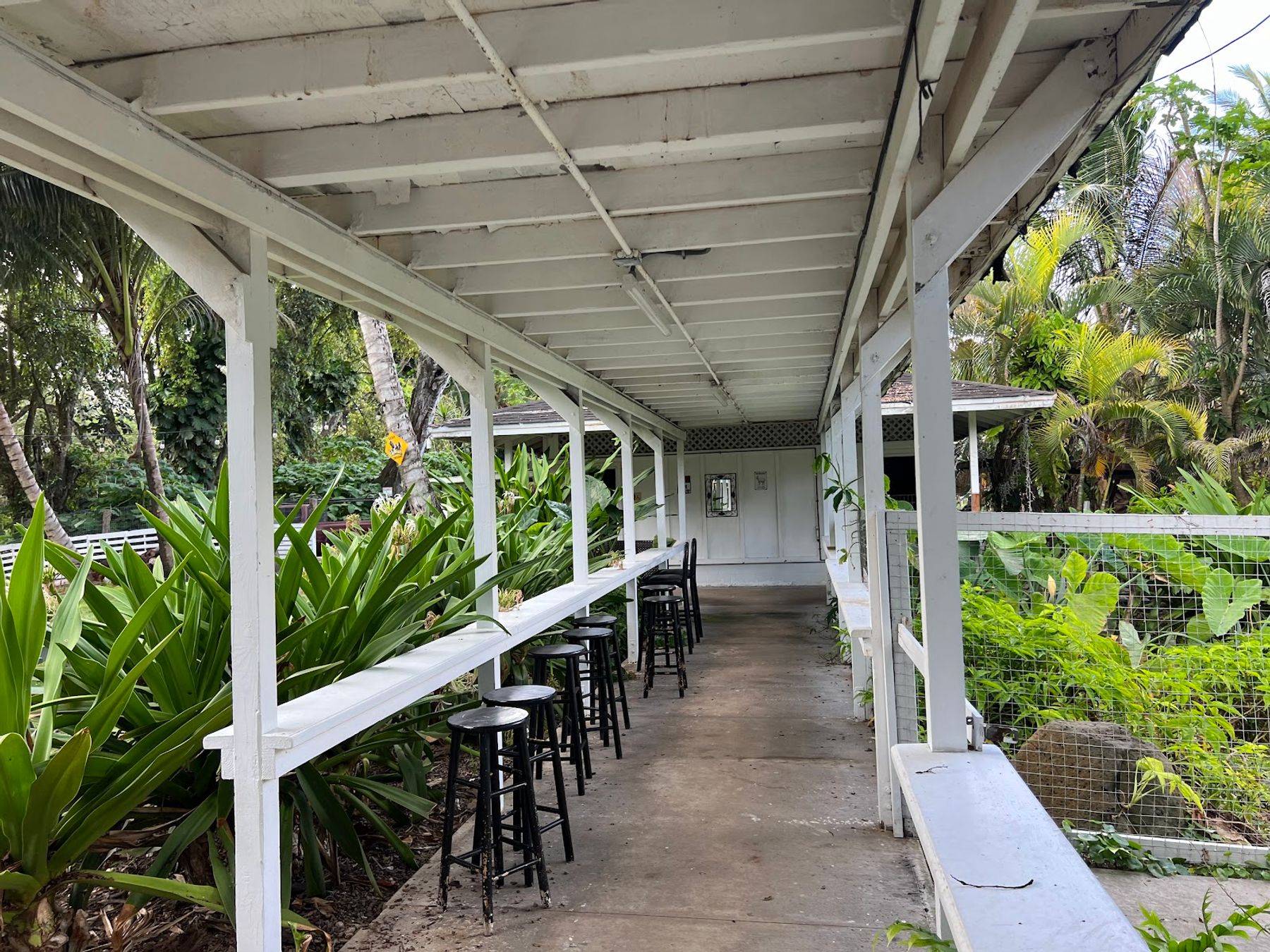 Photo 4 of Keneke's Grill at Punaluu in Kualoa & North Windward, Oahu