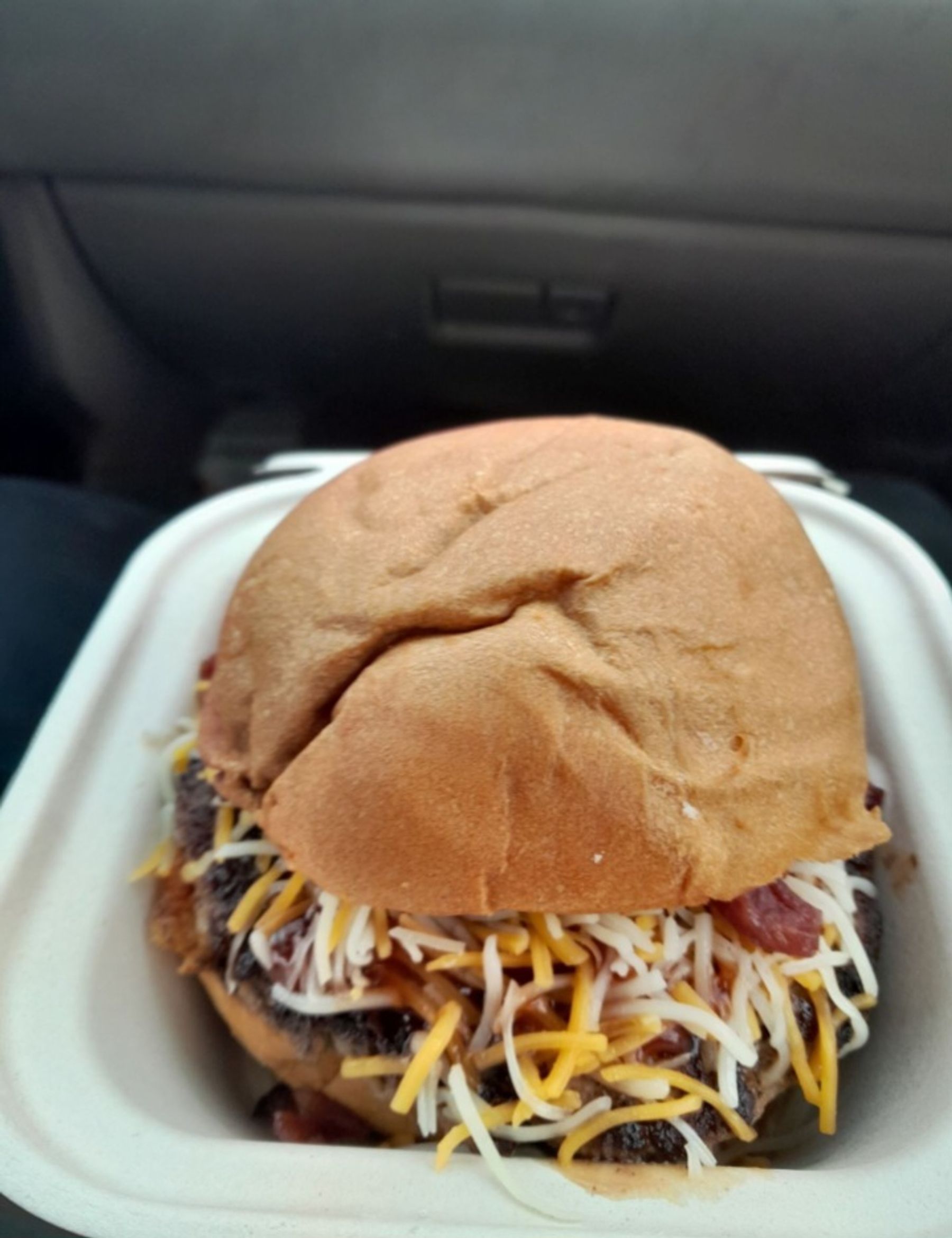 Photo 10 of Big Island Top Dogs in Hilo, Big Island