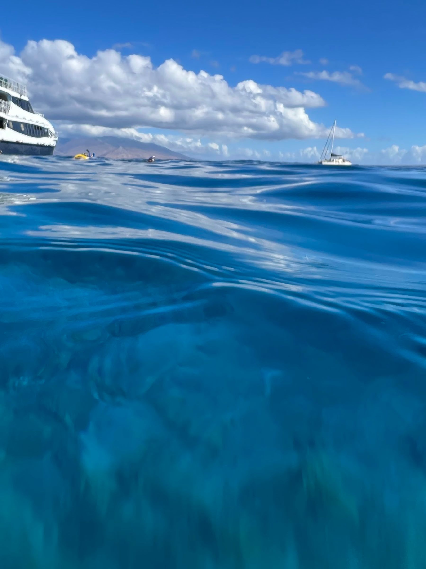 Photo 5 of Snorkel Molokini in Kapalua, Maui