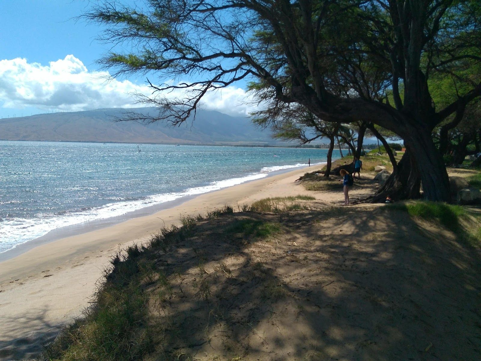 Photo 3 of Mai Poina Beach Park in Kīhei, Maui